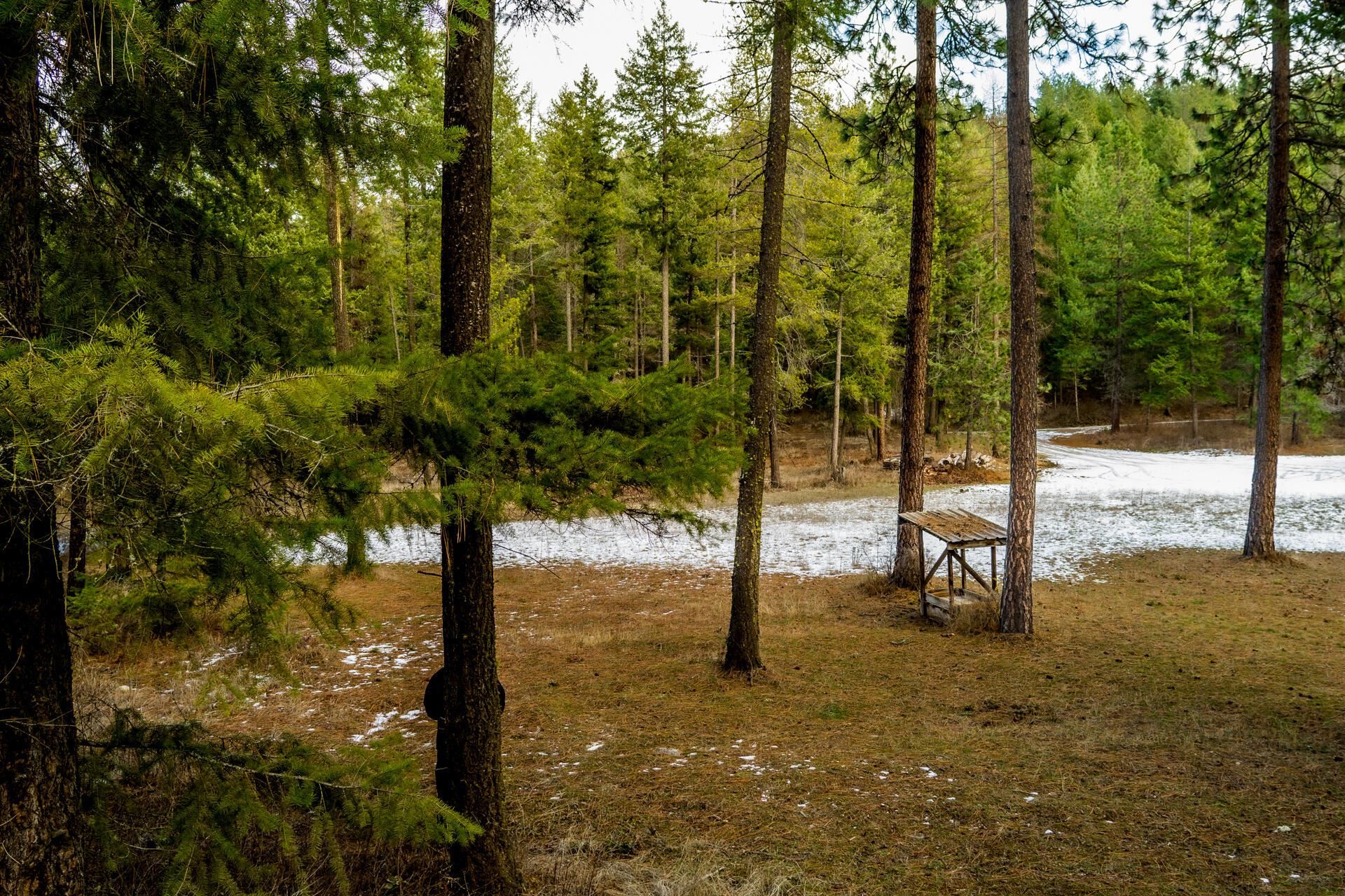 2559 United Copper Mine Rd - Photo 7