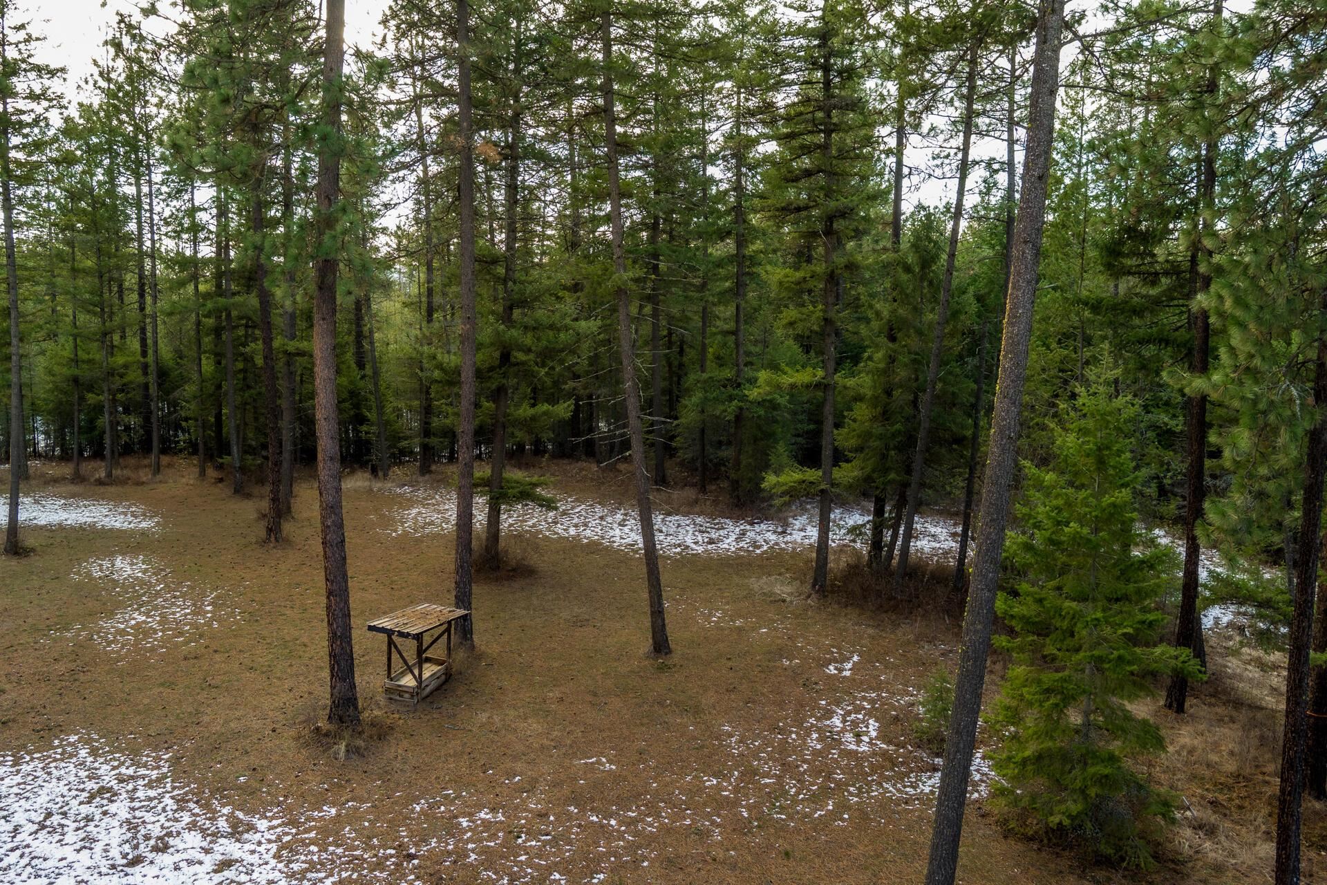 2559 United Copper Mine Rd - Photo 8