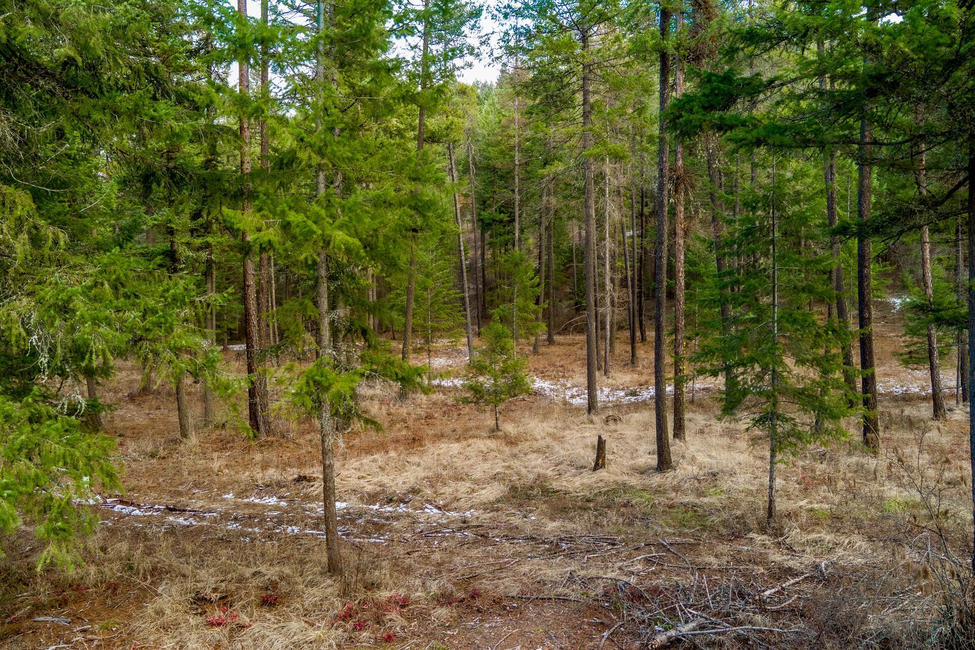 2559 United Copper Mine Rd - Photo 9