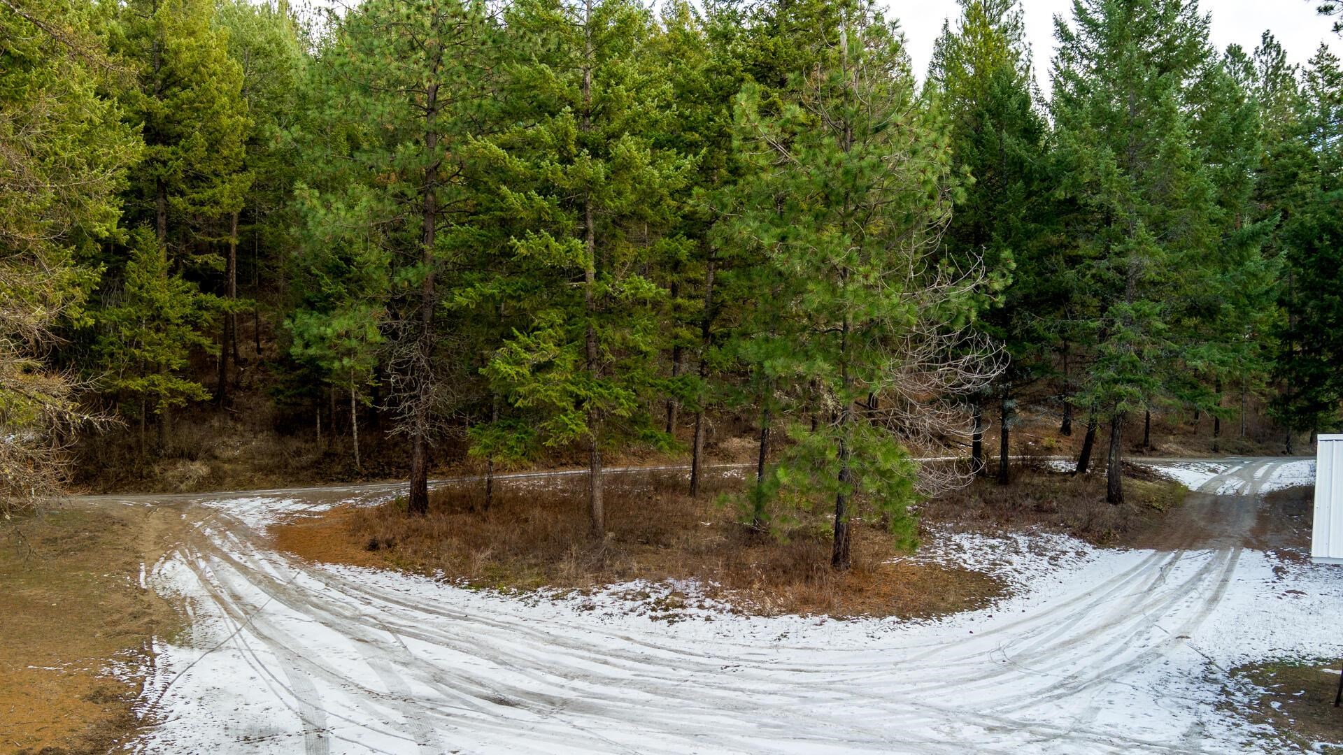 2559 United Copper Mine Rd - Photo 10
