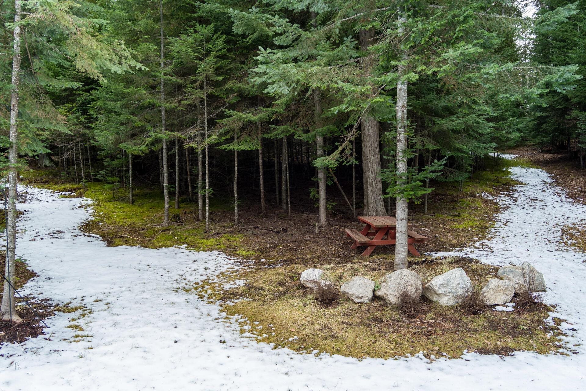 1212 Morning Star Mountain Rd - Photo 34