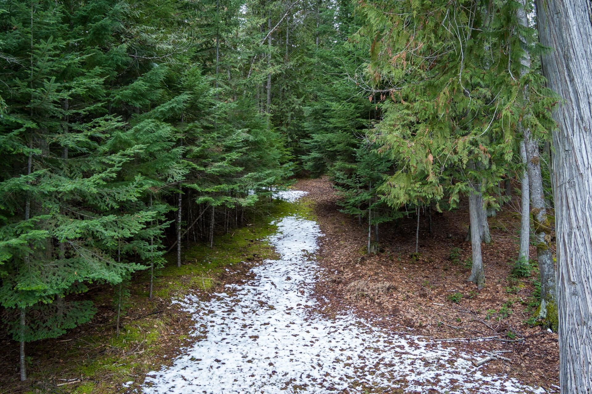 1212 Morning Star Mountain Rd - Photo 35