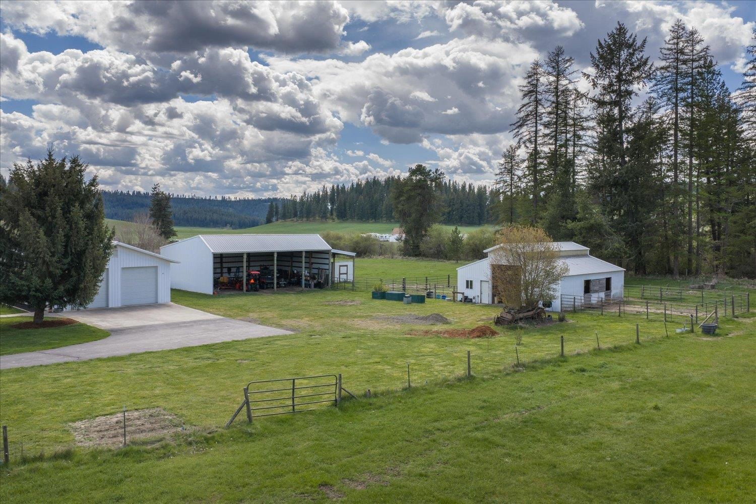17303 N Mt. Spokane Park Dr - Photo 4