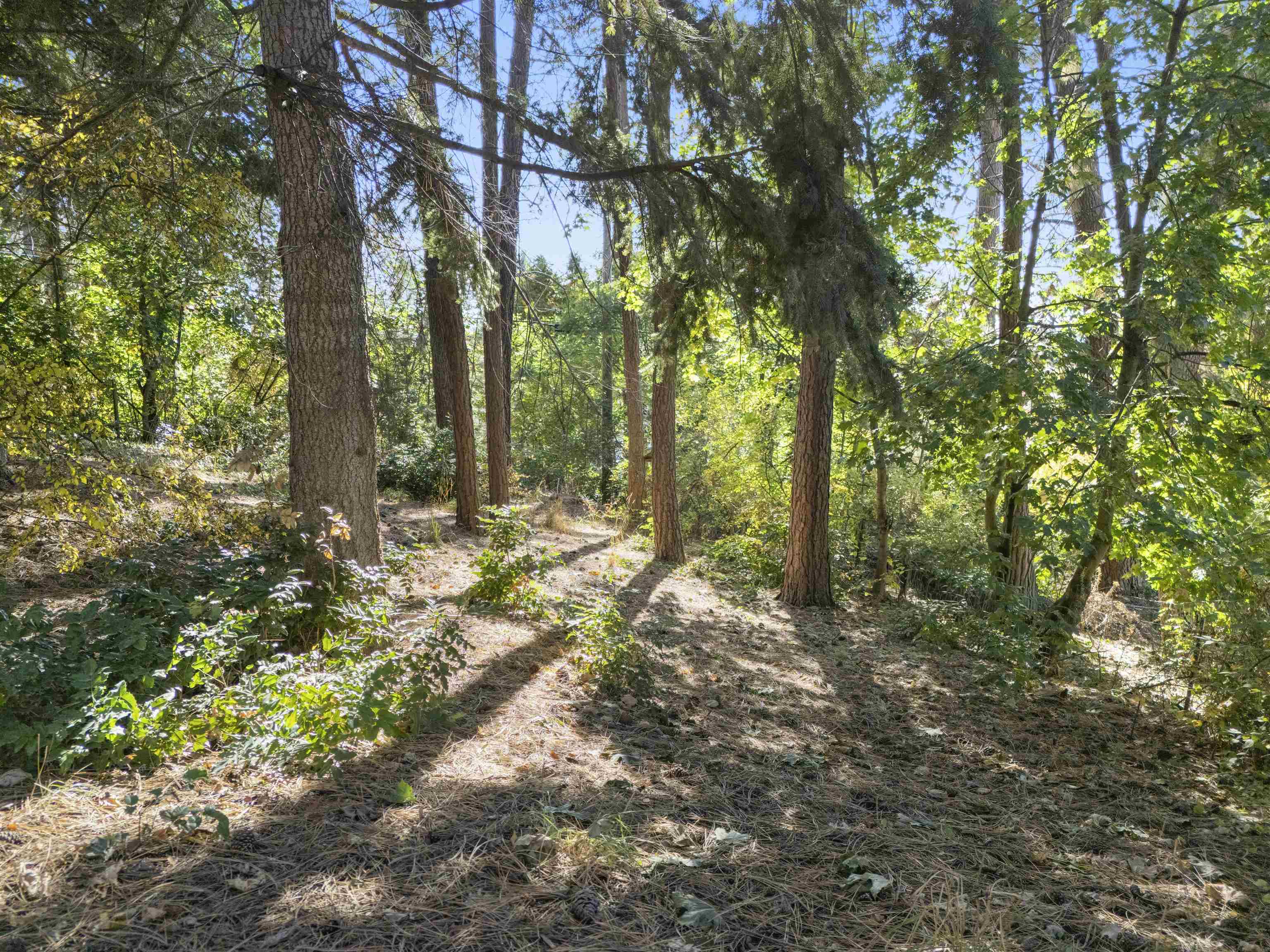 0 S Whipple Rd - Photo 7