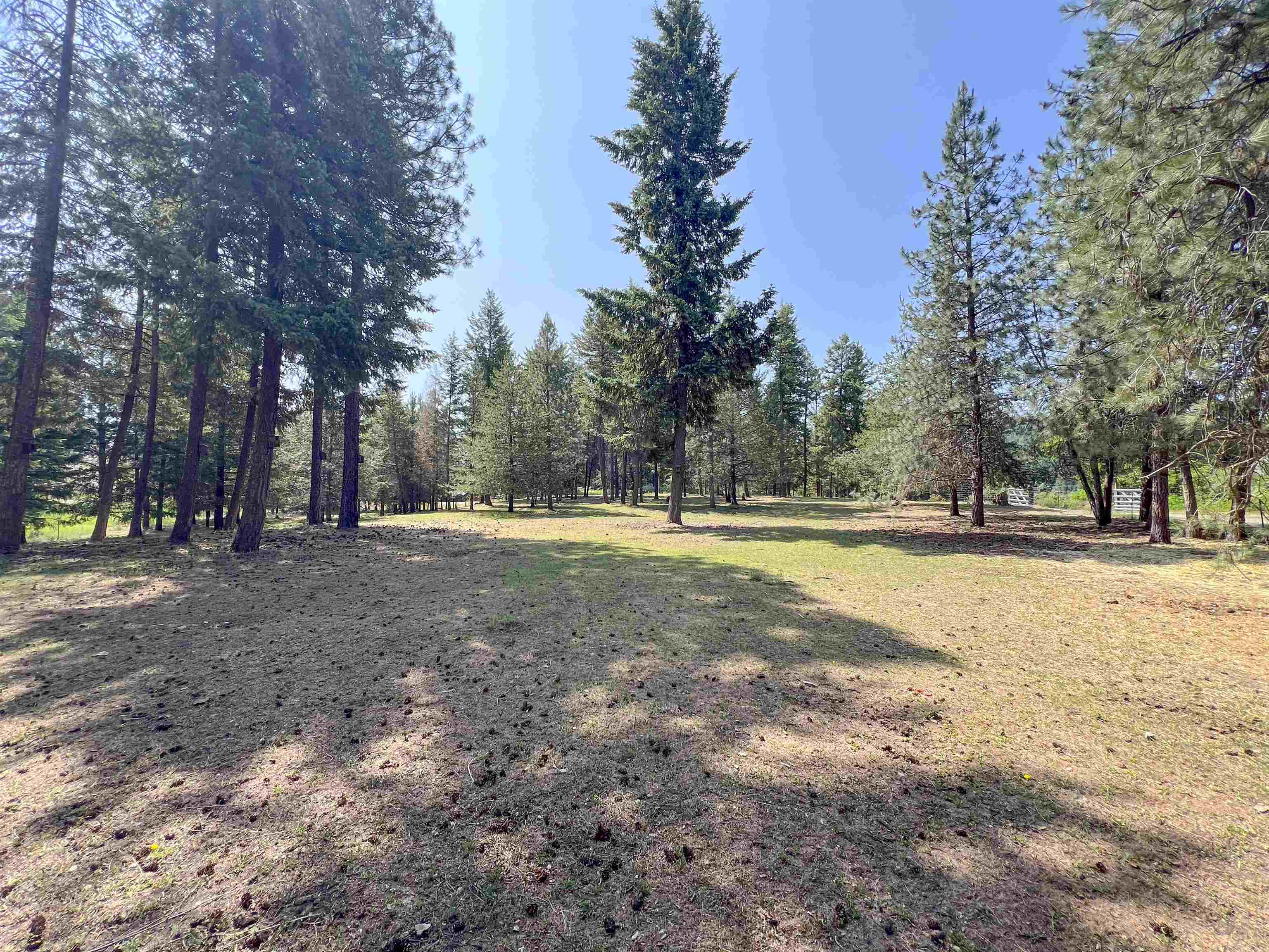 563 Graham Rd - Photo 34
