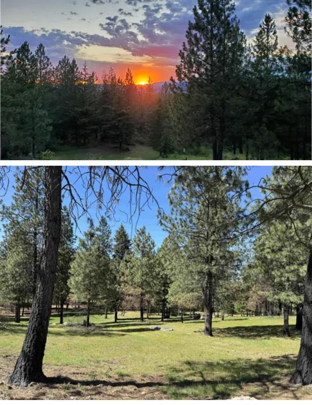 38321 Jackson Rd - Photo 12