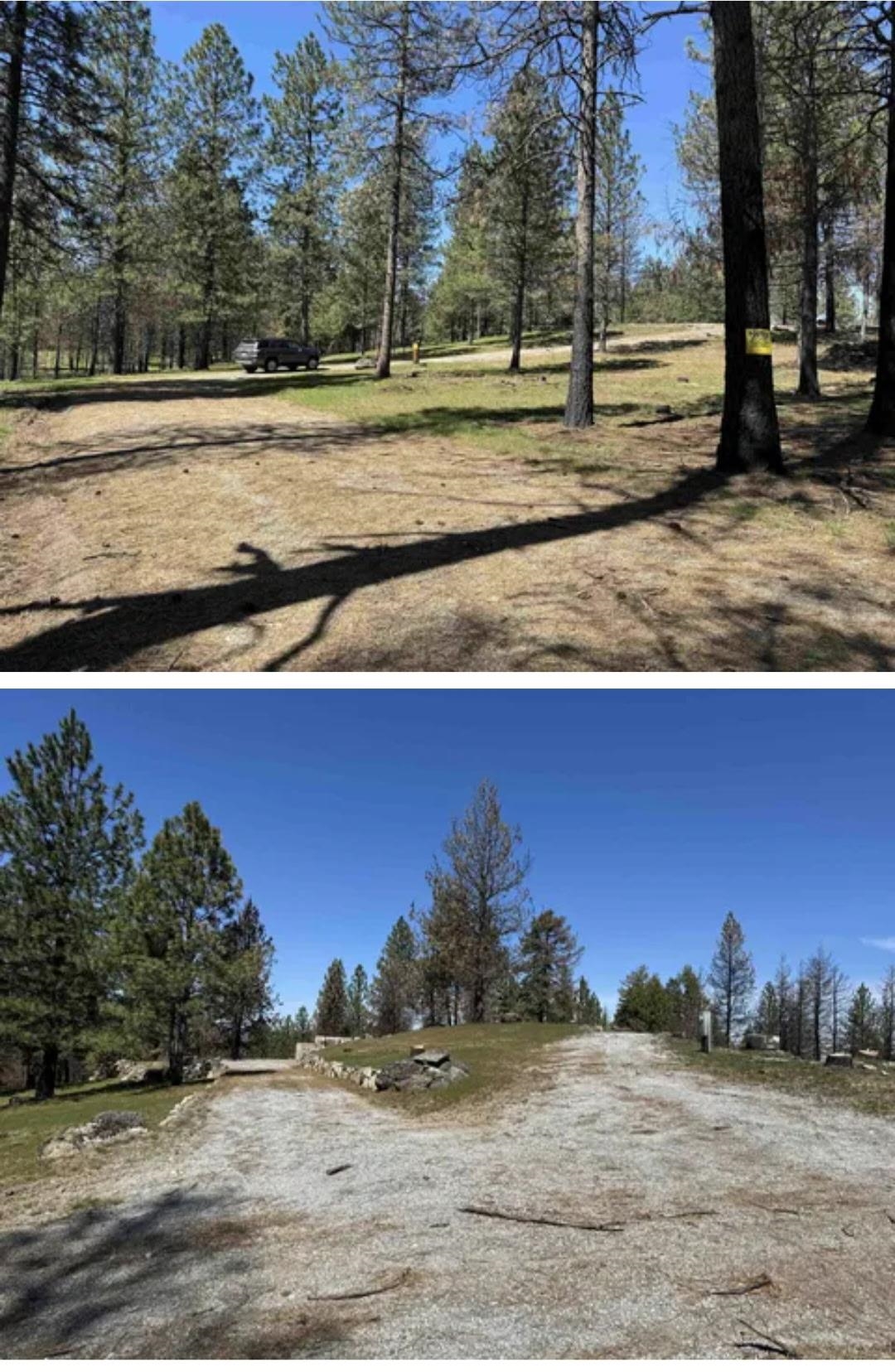 38321 Jackson Rd - Photo 13