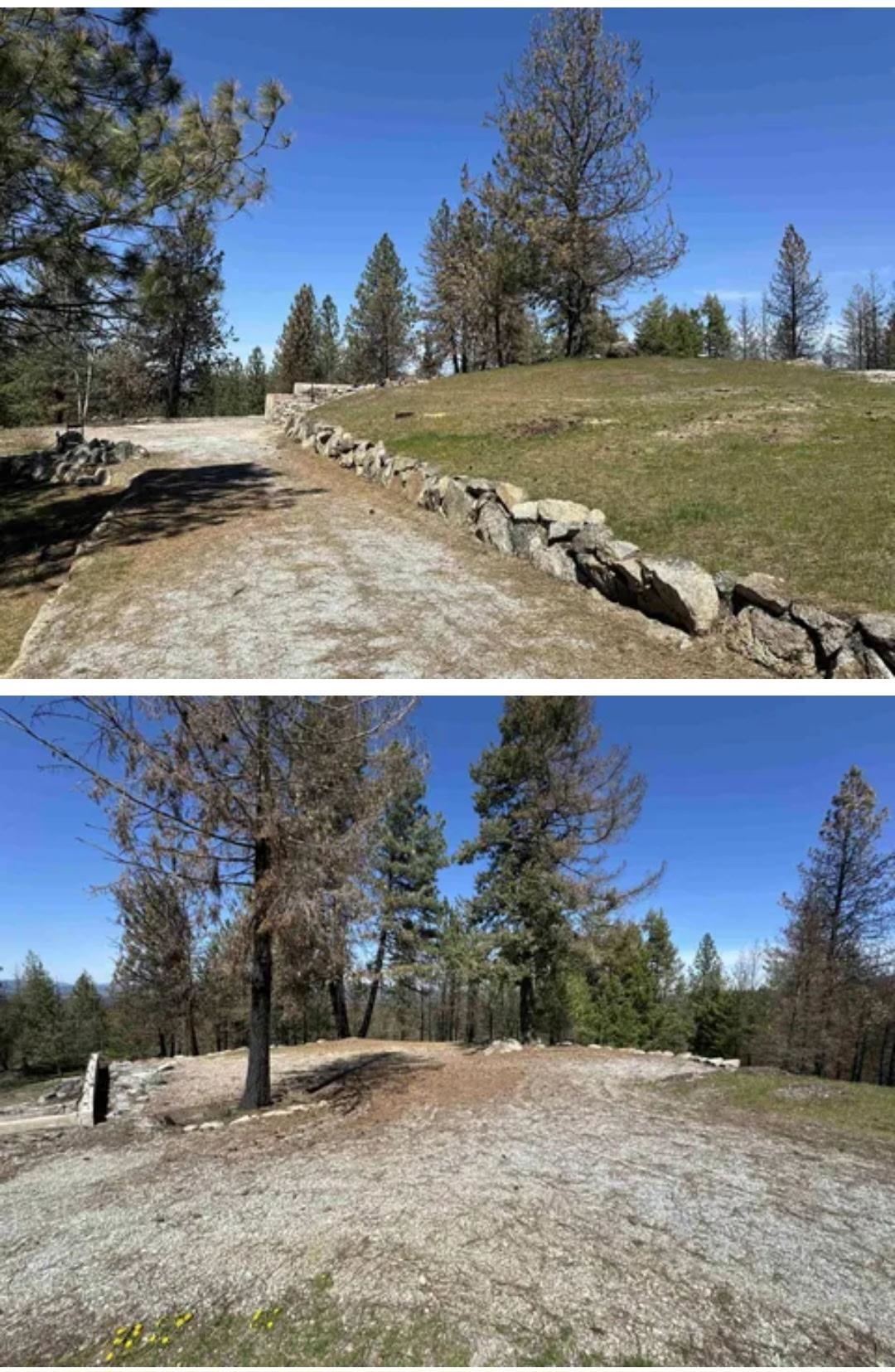 38321 Jackson Rd - Photo 14