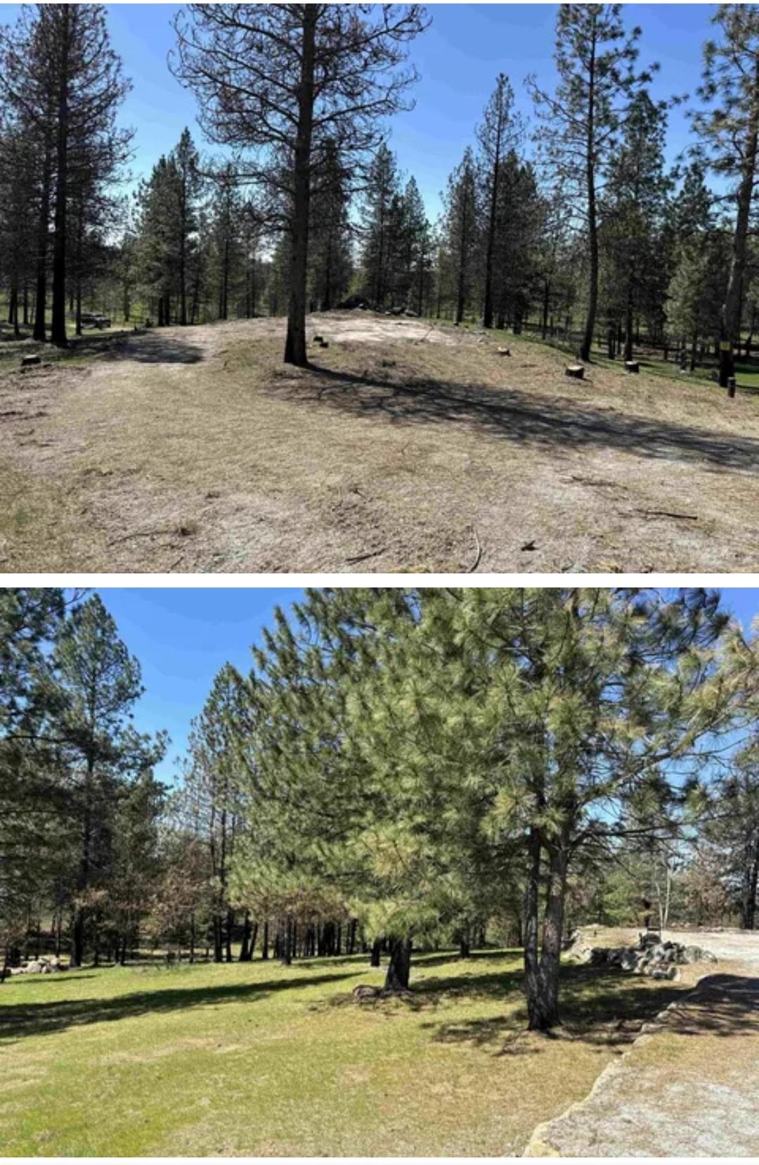38321 Jackson Rd - Photo 9