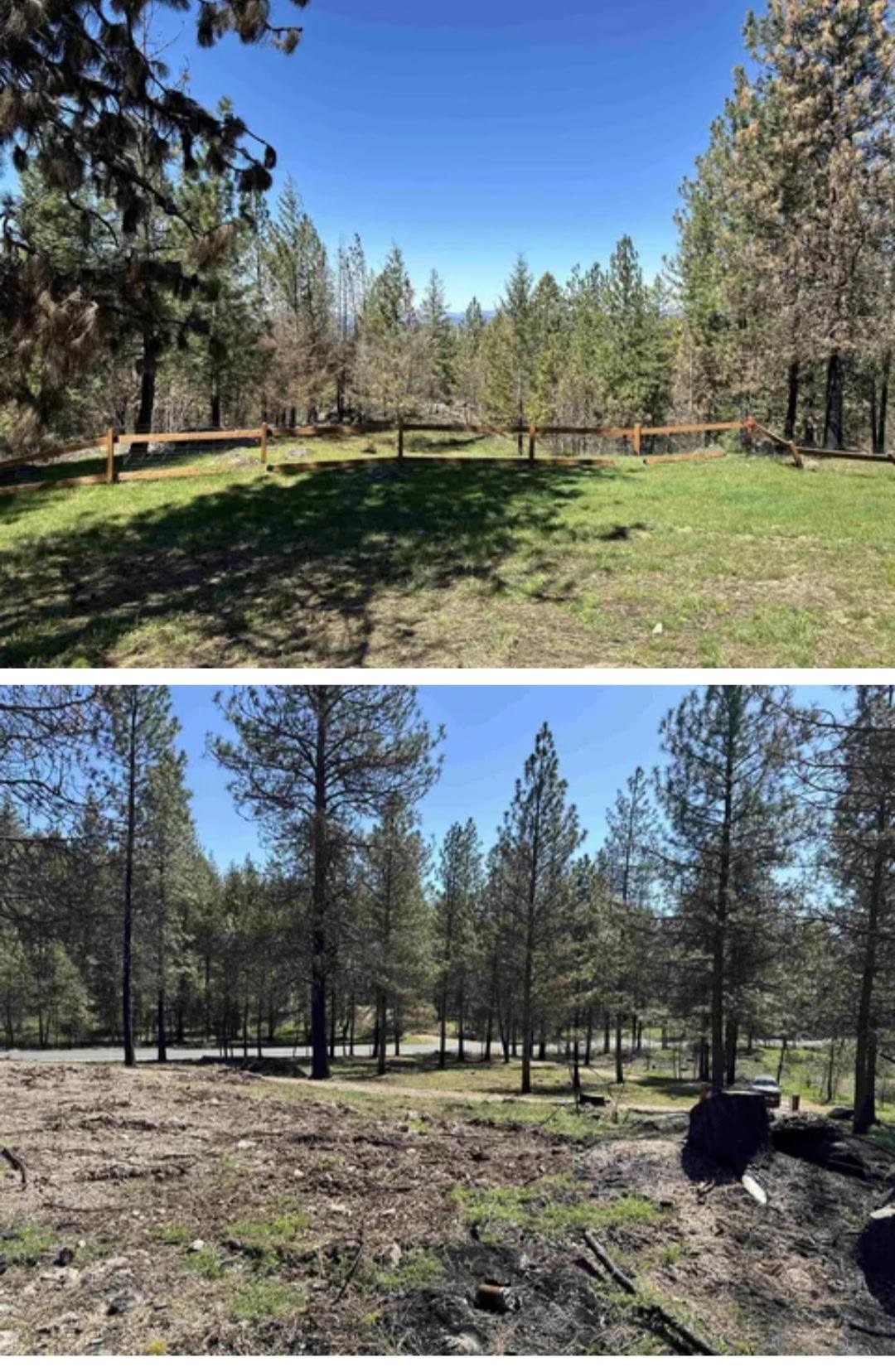 38321 Jackson Rd - Photo 10