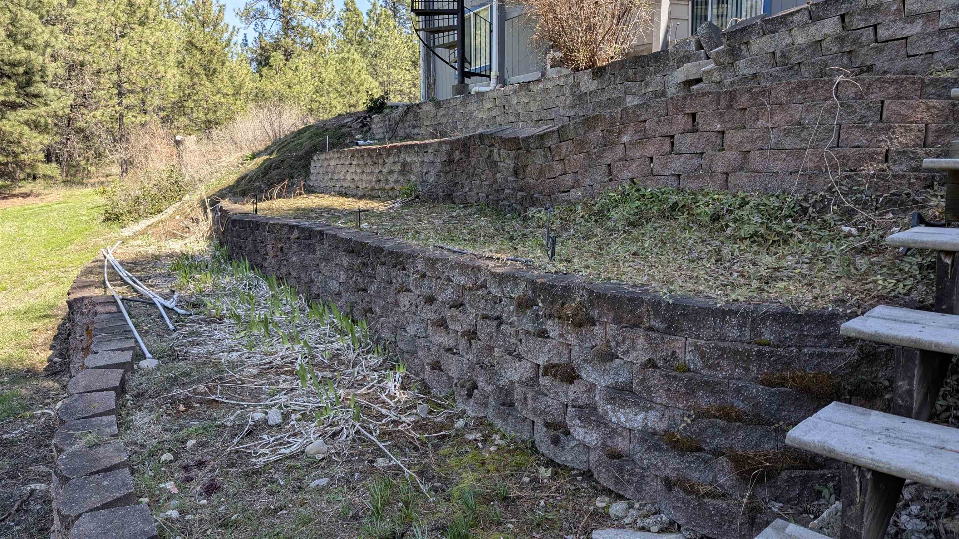 4807 E Chattaroy Rd - Photo 12