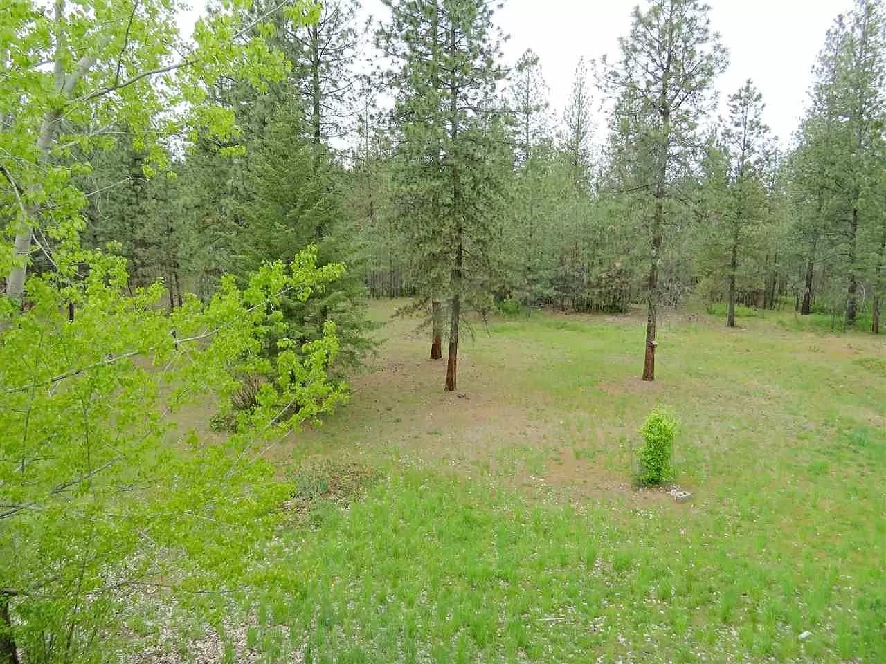 4807 E Chattaroy Rd - Photo 30