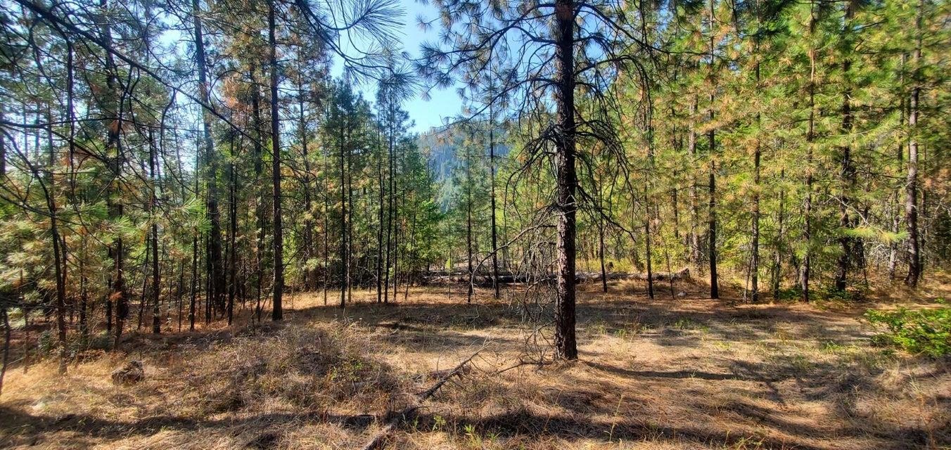 3733-XX Sand Creek Rd - Photo 3