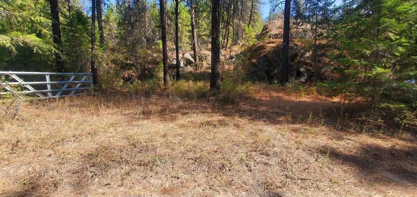 3733-XX Sand Creek Rd - Photo 9