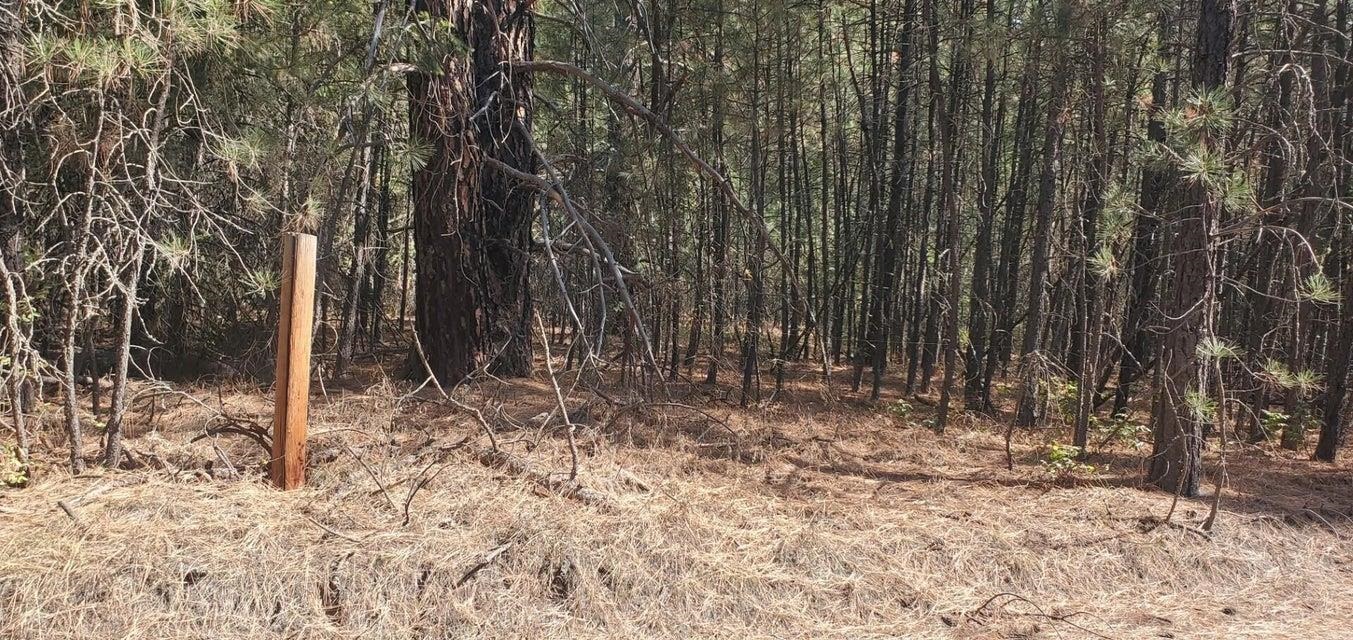 3733-XX Sand Creek Rd - Photo 10