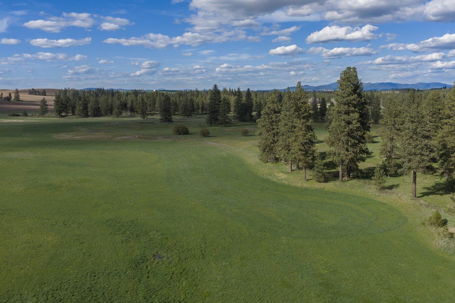 32312 S North Pine Creek Rd - Photo 2