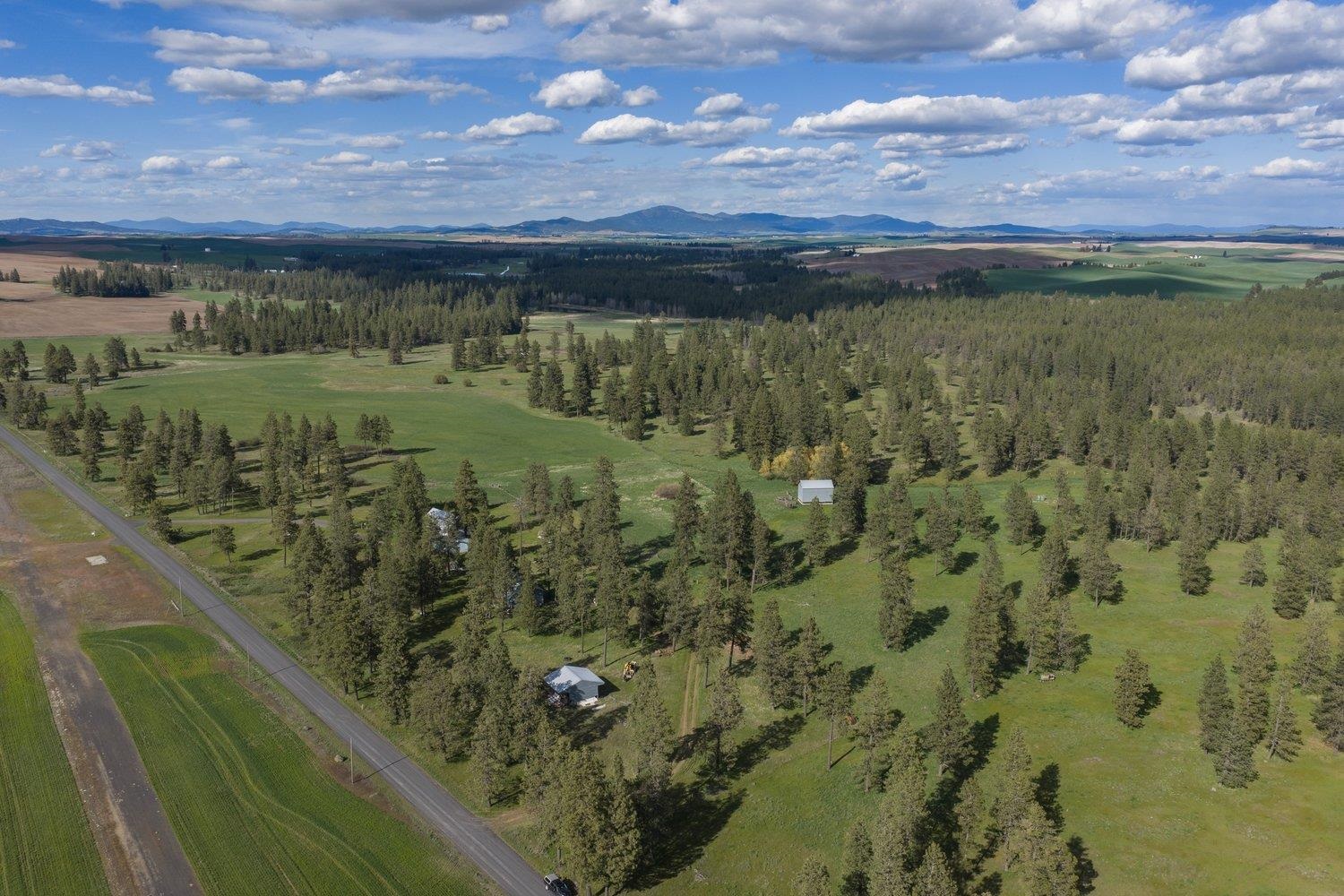 32312 S North Pine Creek Rd - Photo 11