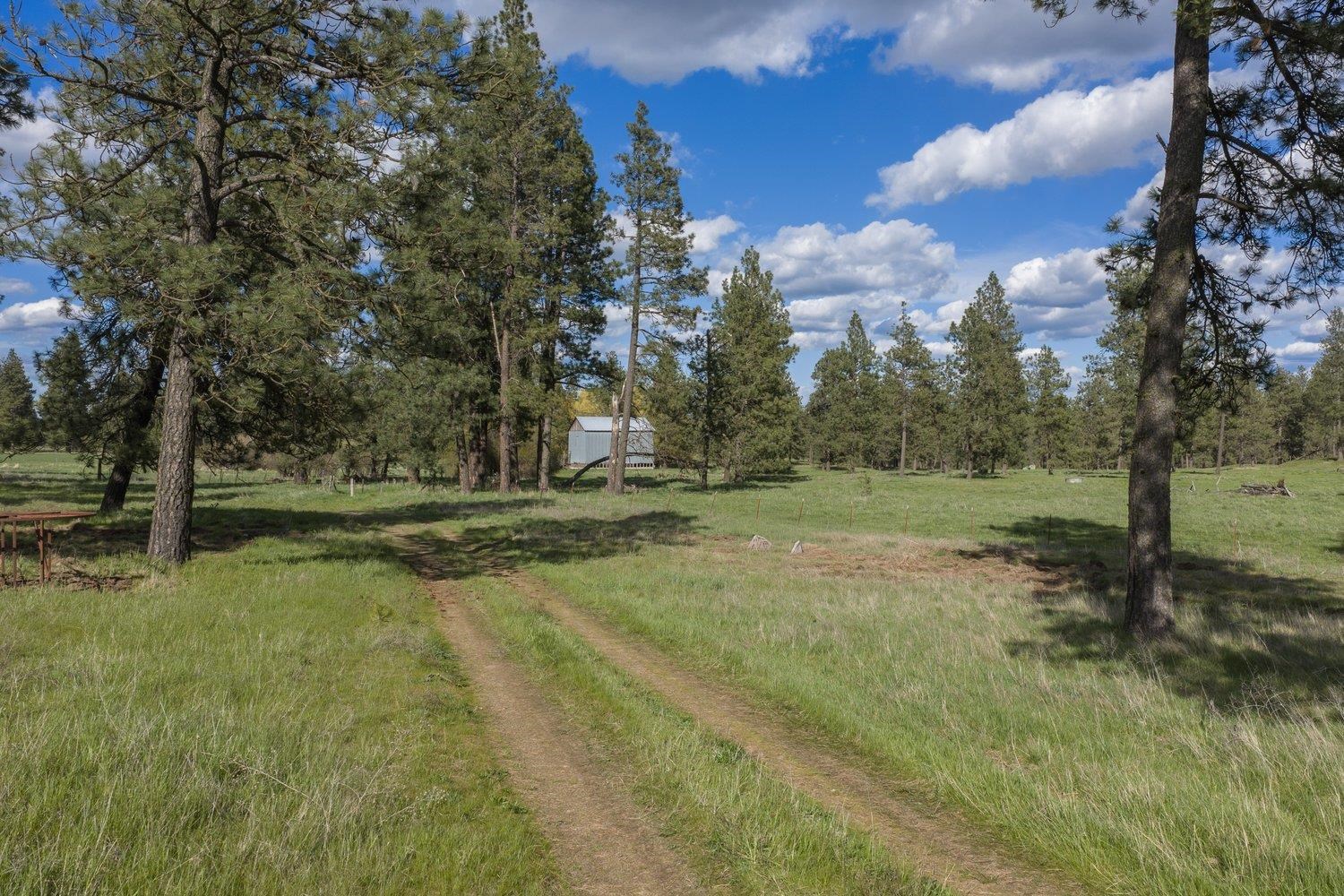 32312 S North Pine Creek Rd - Photo 12