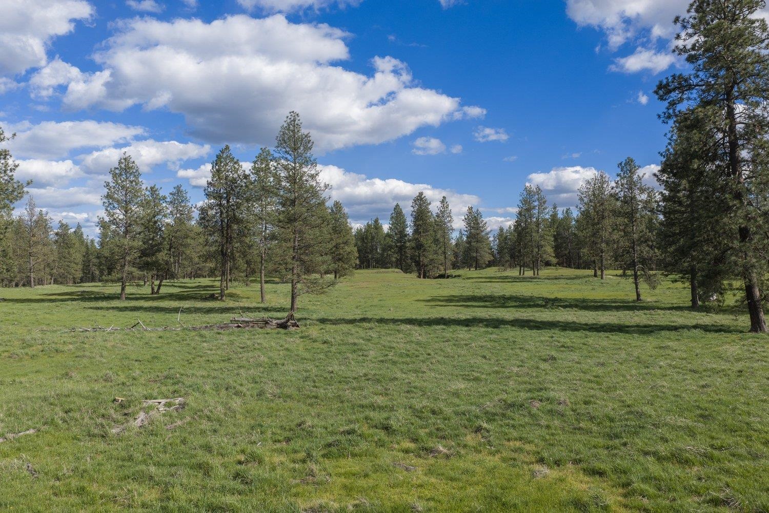 32312 S North Pine Creek Rd - Photo 14