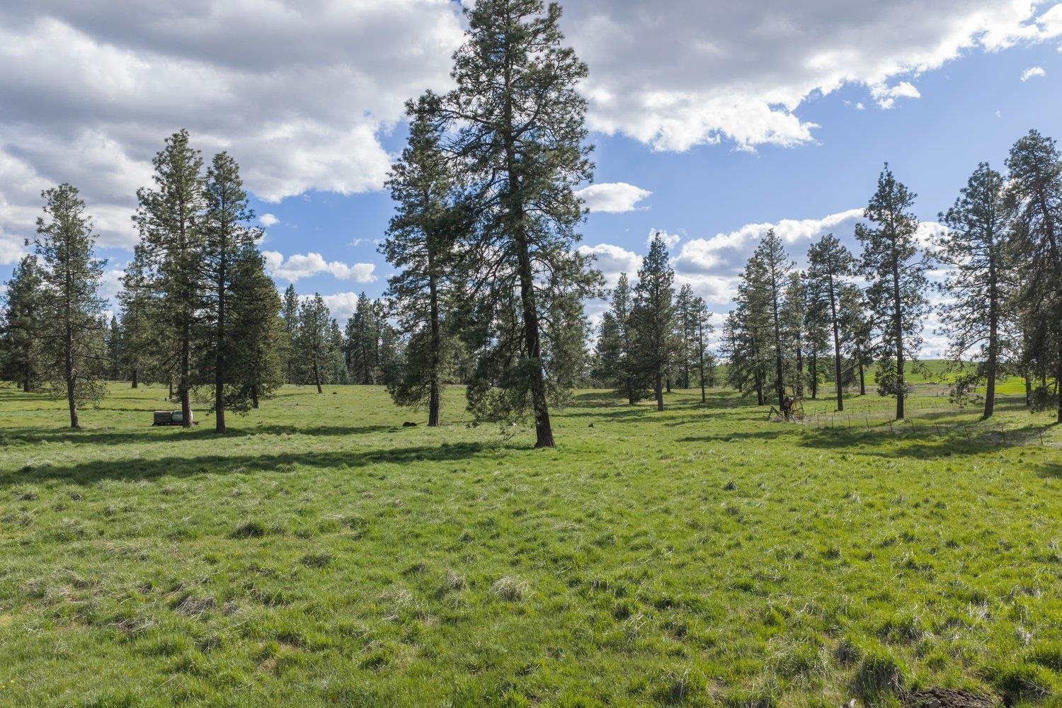 32312 S North Pine Creek Rd - Photo 15