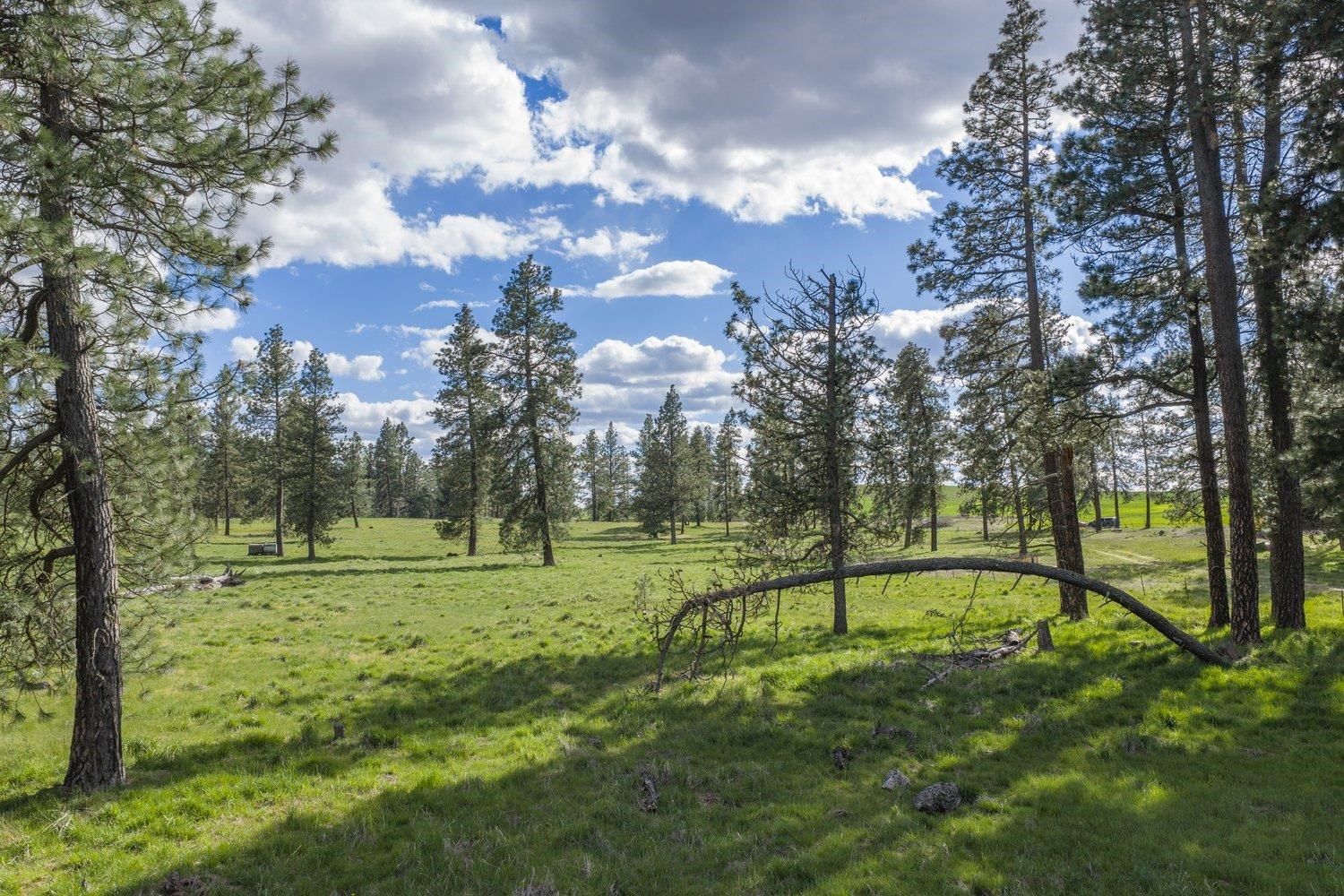 32312 S North Pine Creek Rd - Photo 16