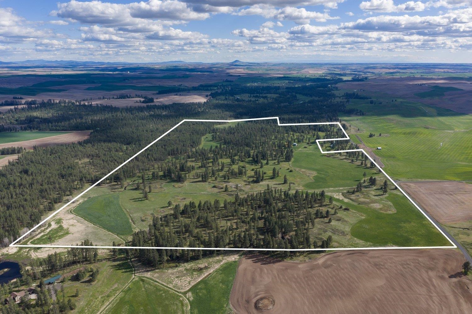 32312 S North Pine Creek Rd - Photo 3