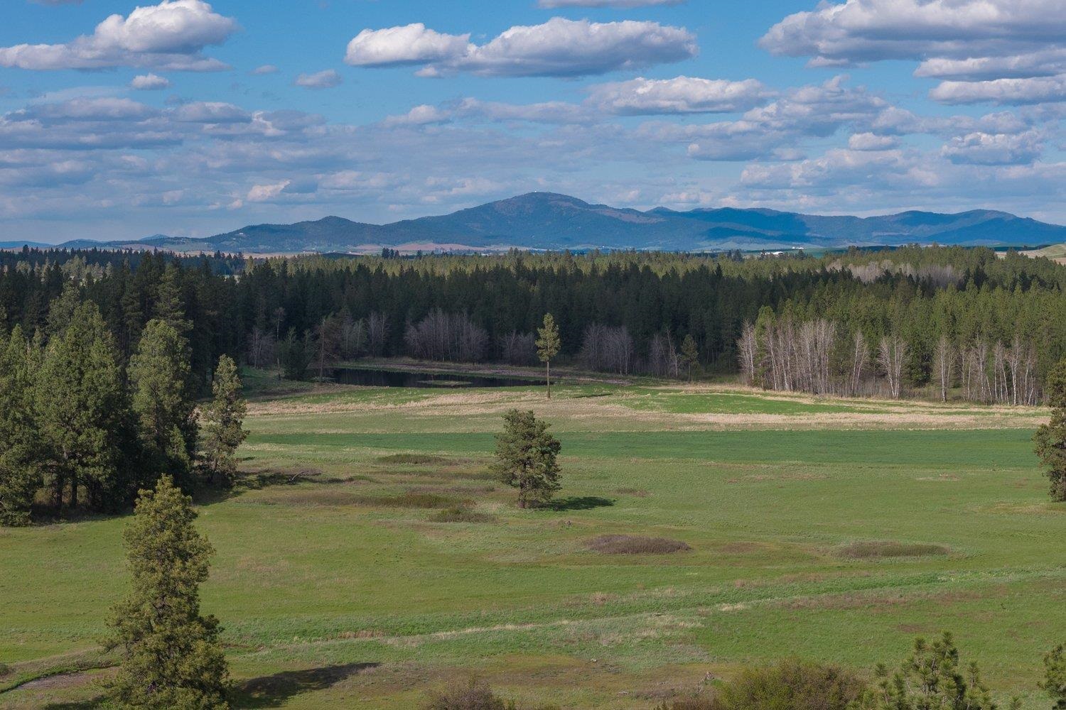 32312 S North Pine Creek Rd - Photo 23