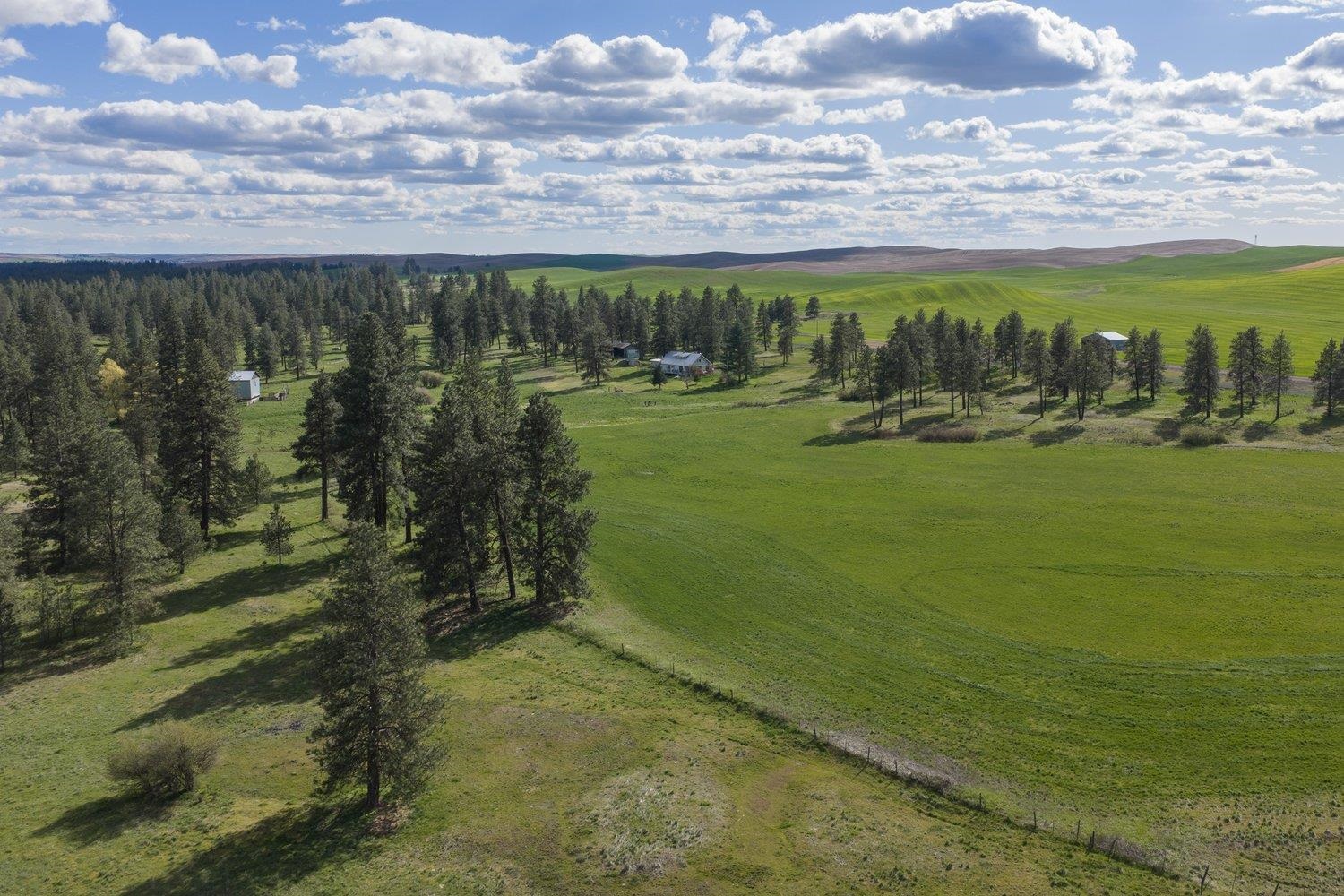 32312 S North Pine Creek Rd - Photo 24