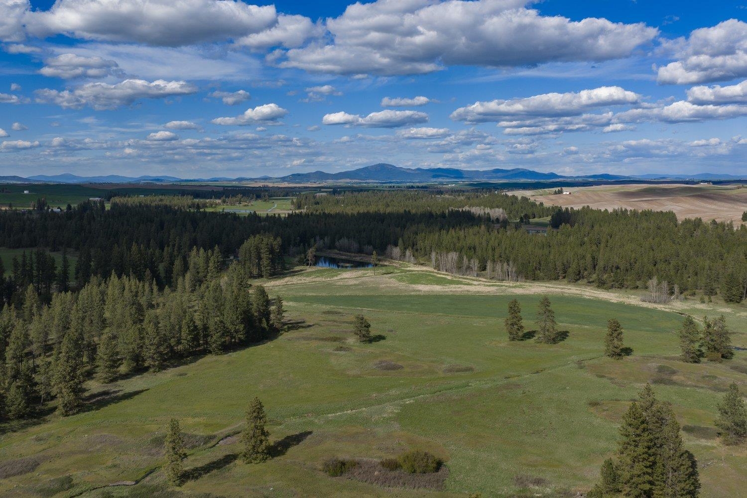 32312 S North Pine Creek Rd - Photo 26