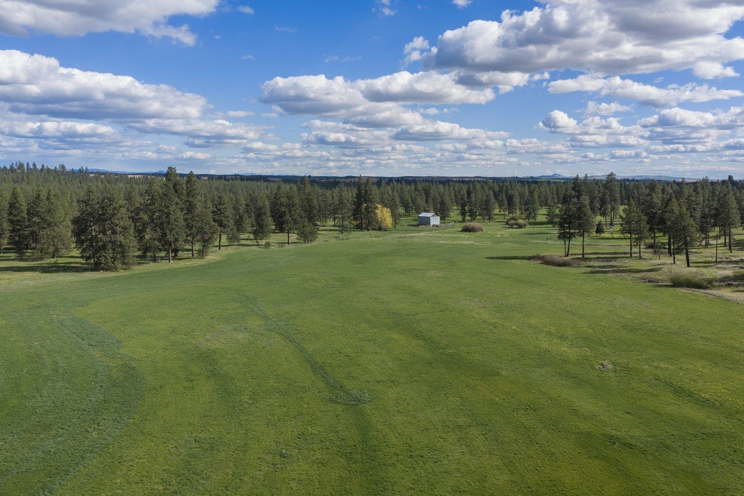 32312 S North Pine Creek Rd - Photo 4