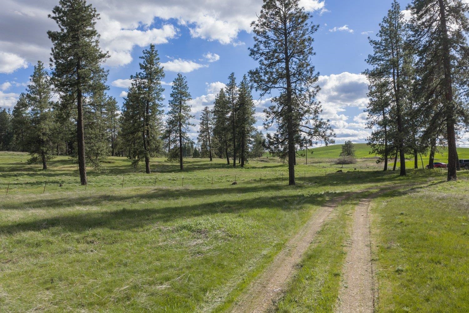 32312 S North Pine Creek Rd - Photo 32