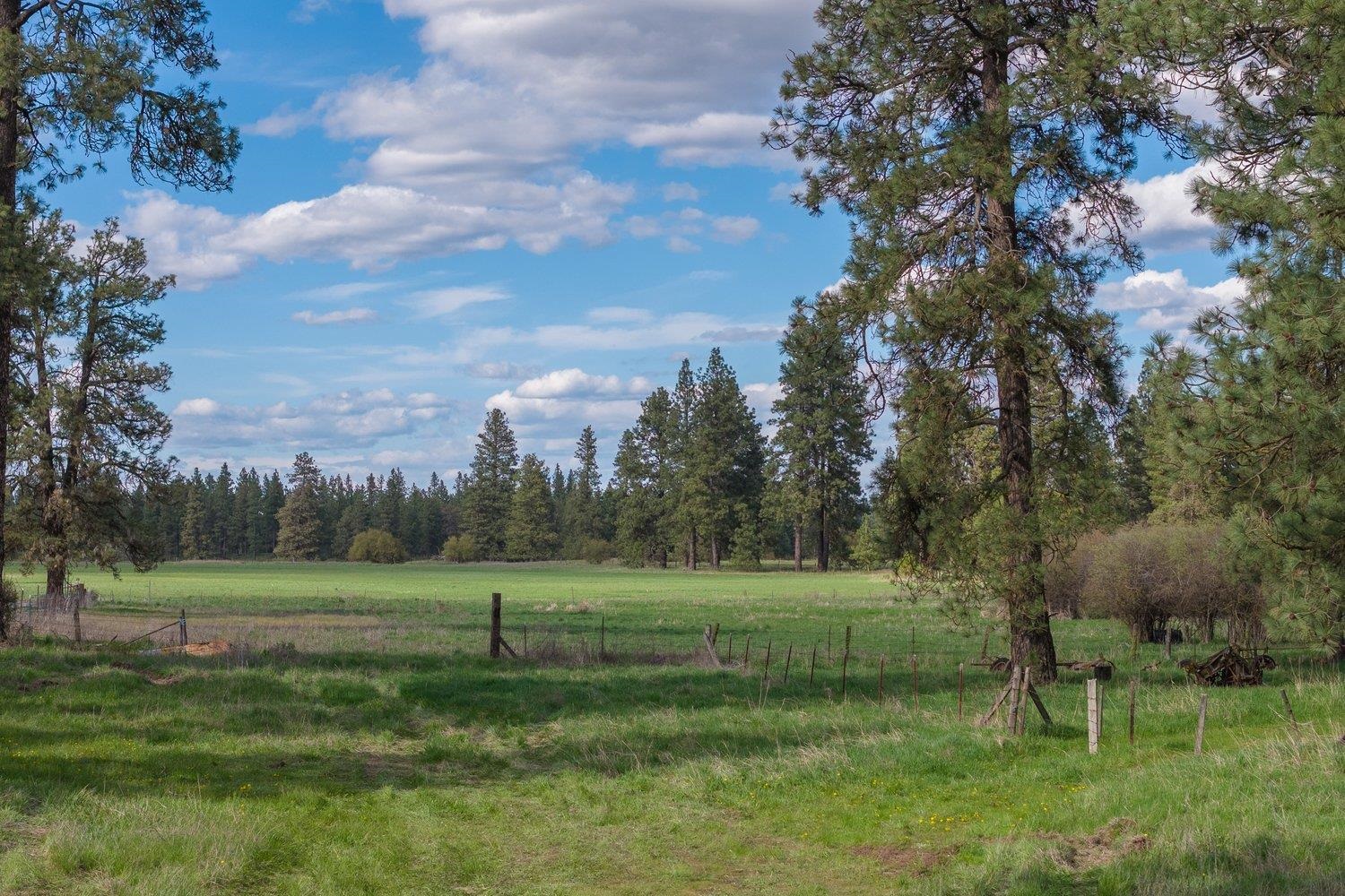 32312 S North Pine Creek Rd - Photo 33