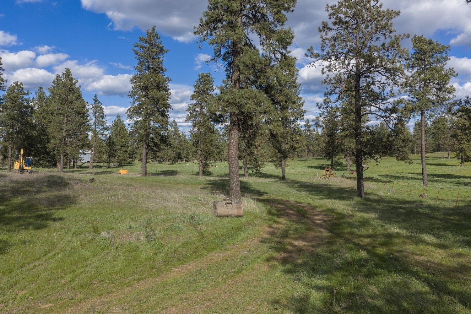 32312 S North Pine Creek Rd - Photo 34