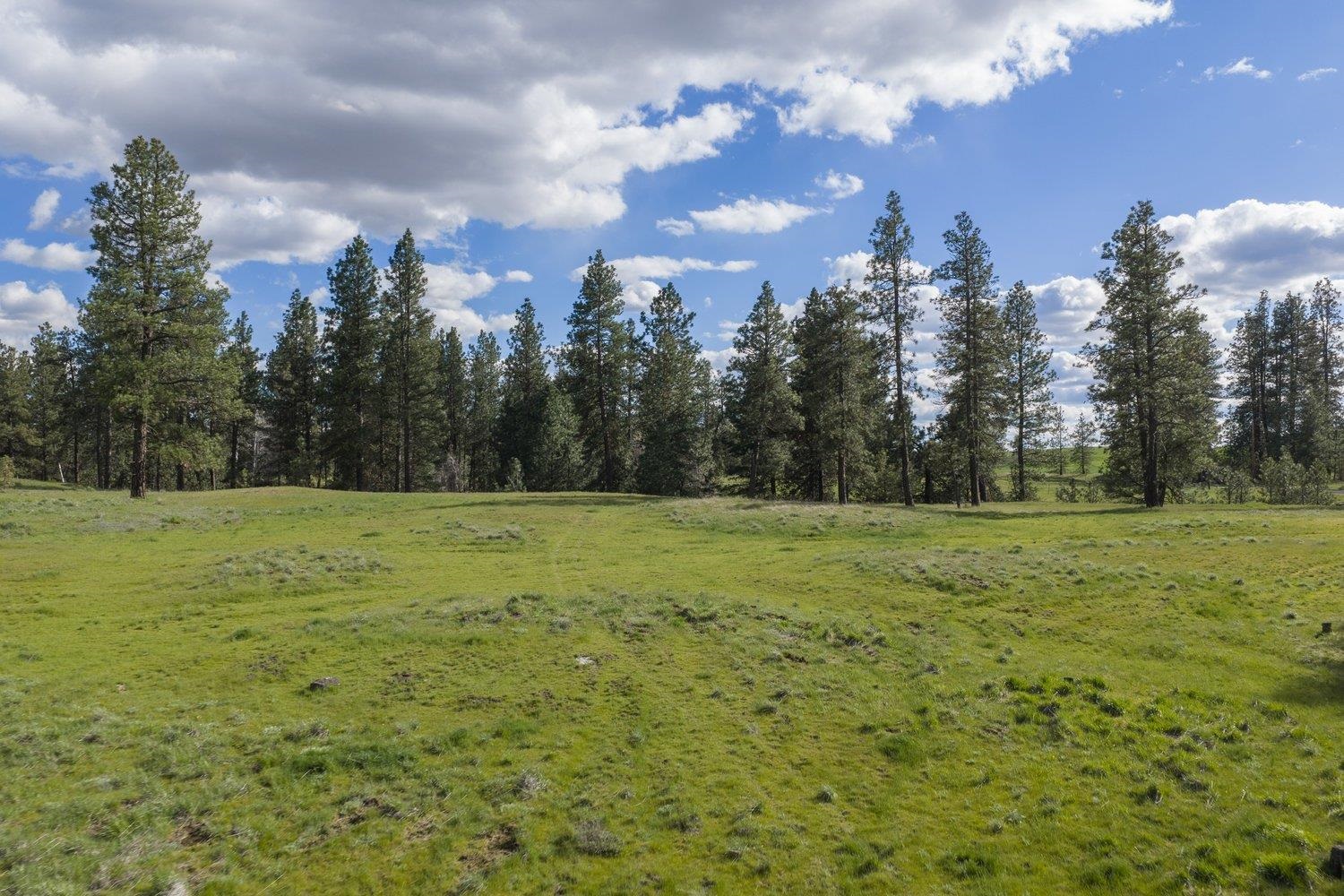 32312 S North Pine Creek Rd - Photo 5