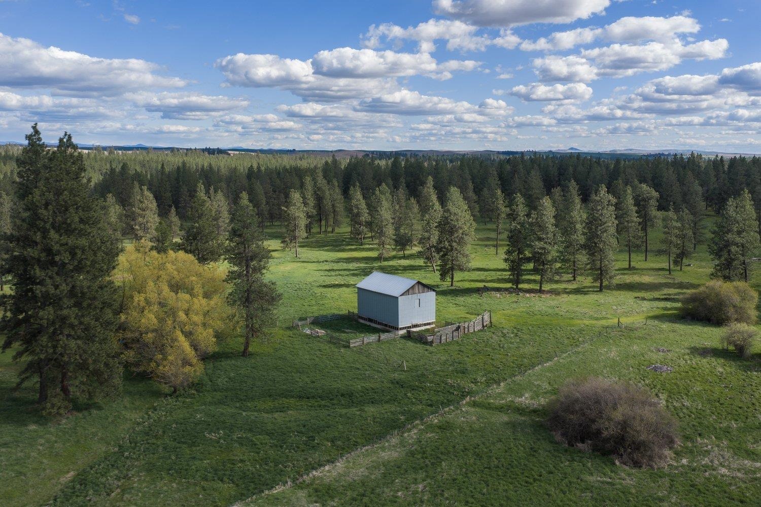 32312 S North Pine Creek Rd - Photo 9