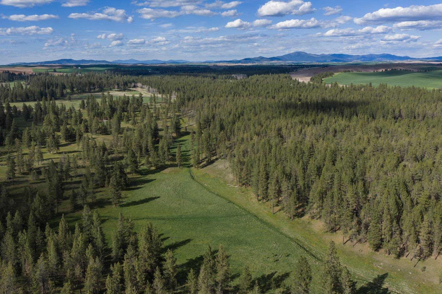 32312 S North Pine Creek Rd - Photo 10