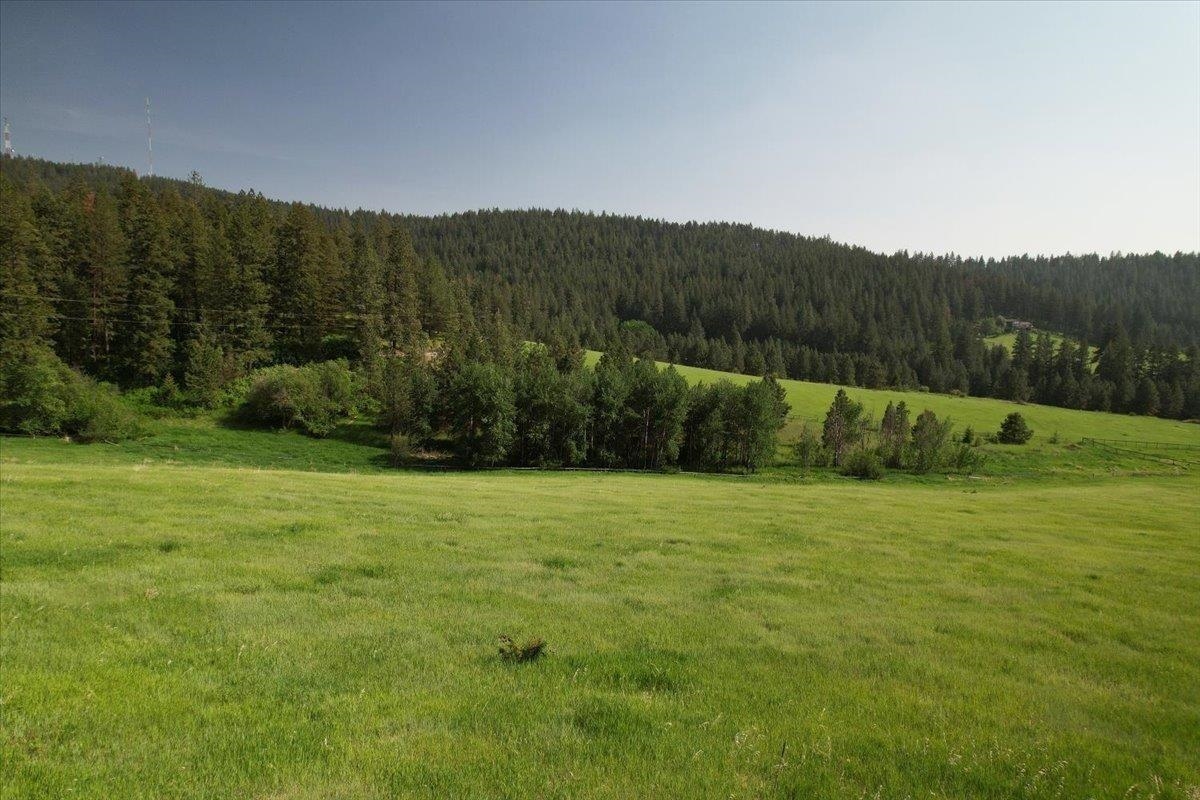 6500 Jamieson Rd - Photo 11