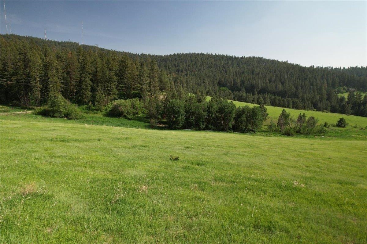 6500 Jamieson Rd - Photo 14