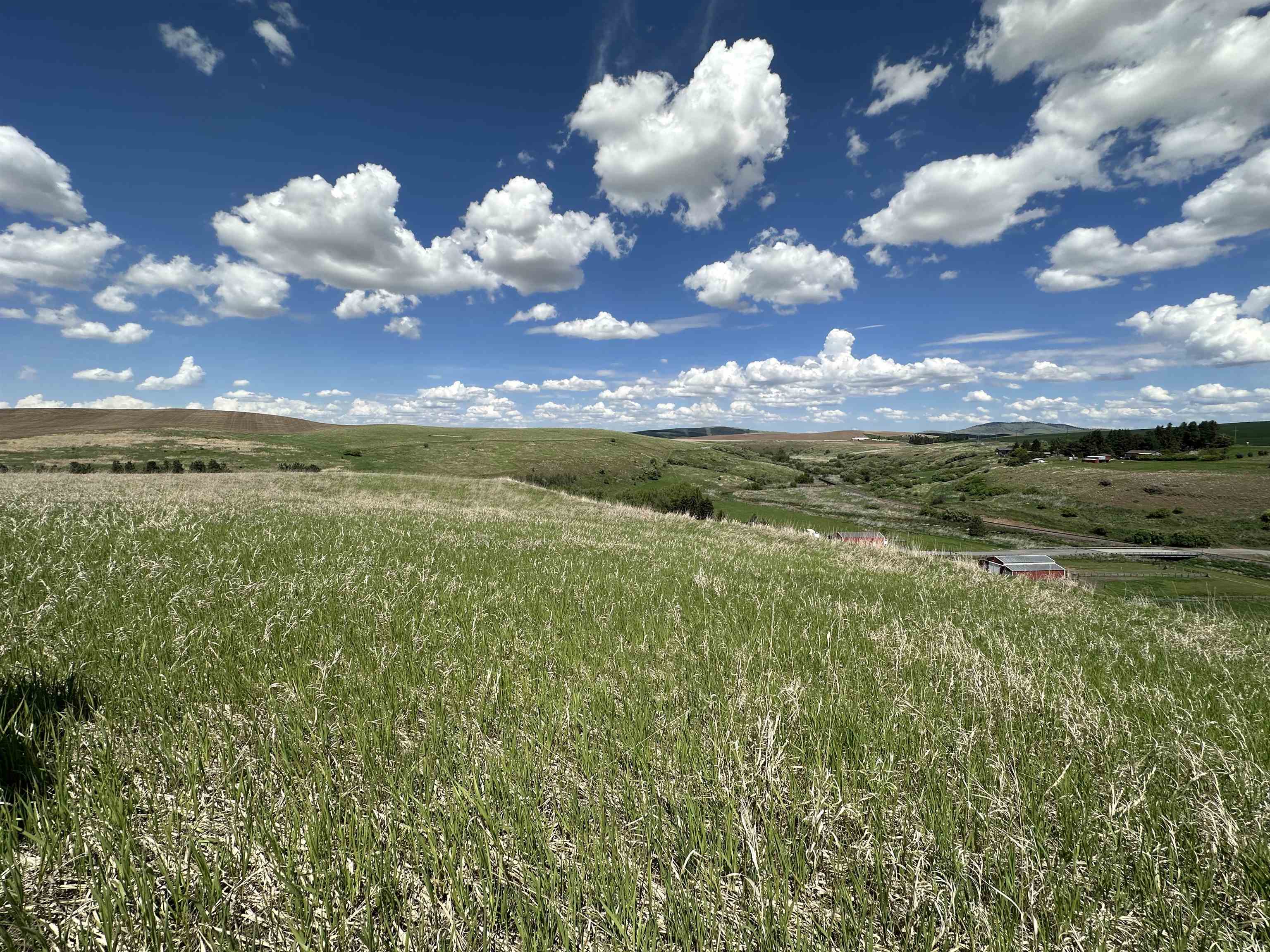7XX S Armstrong Rd - Photo 11