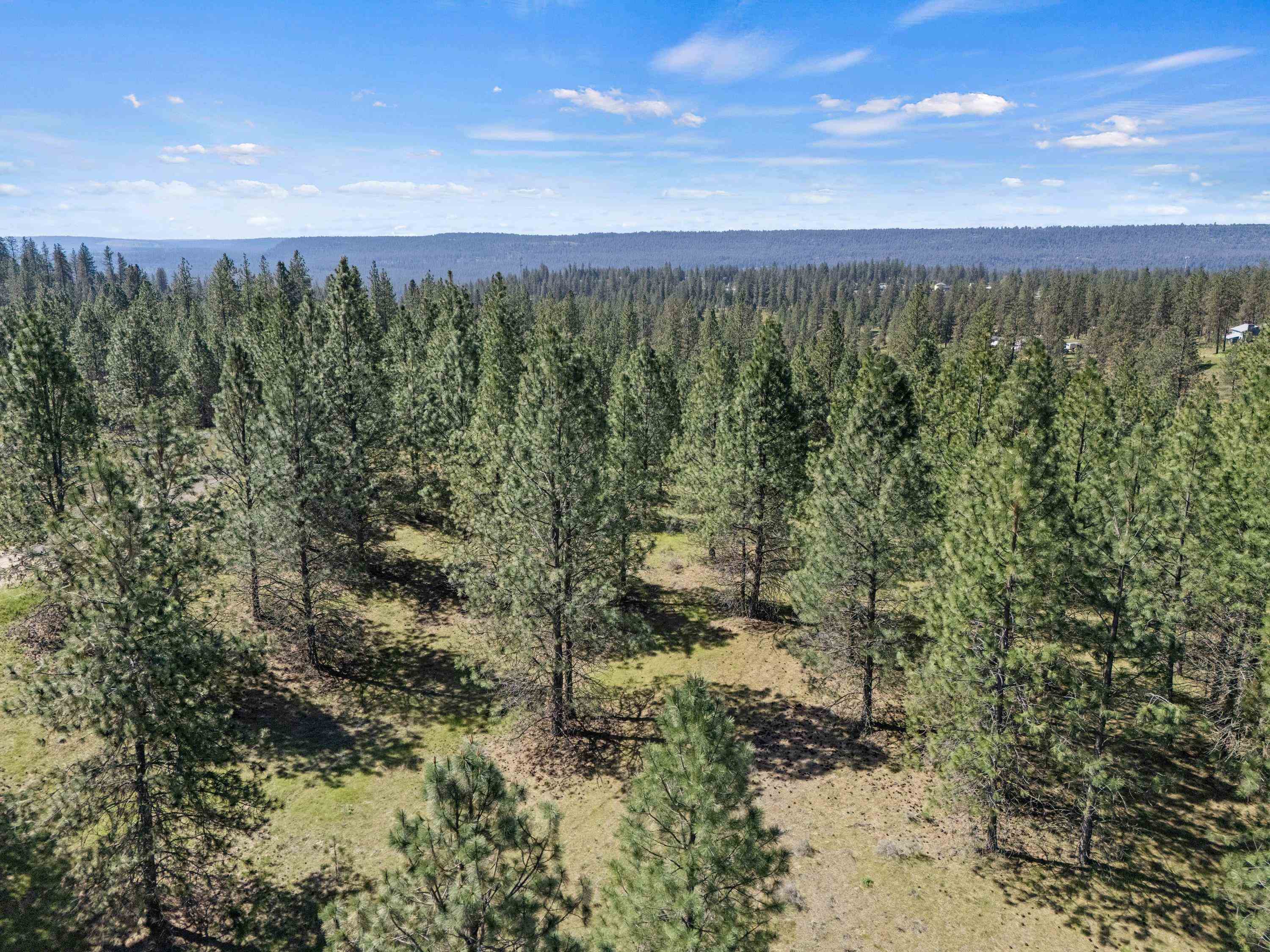 5882 Lot 4 Lower Weaver Way - Photo 15