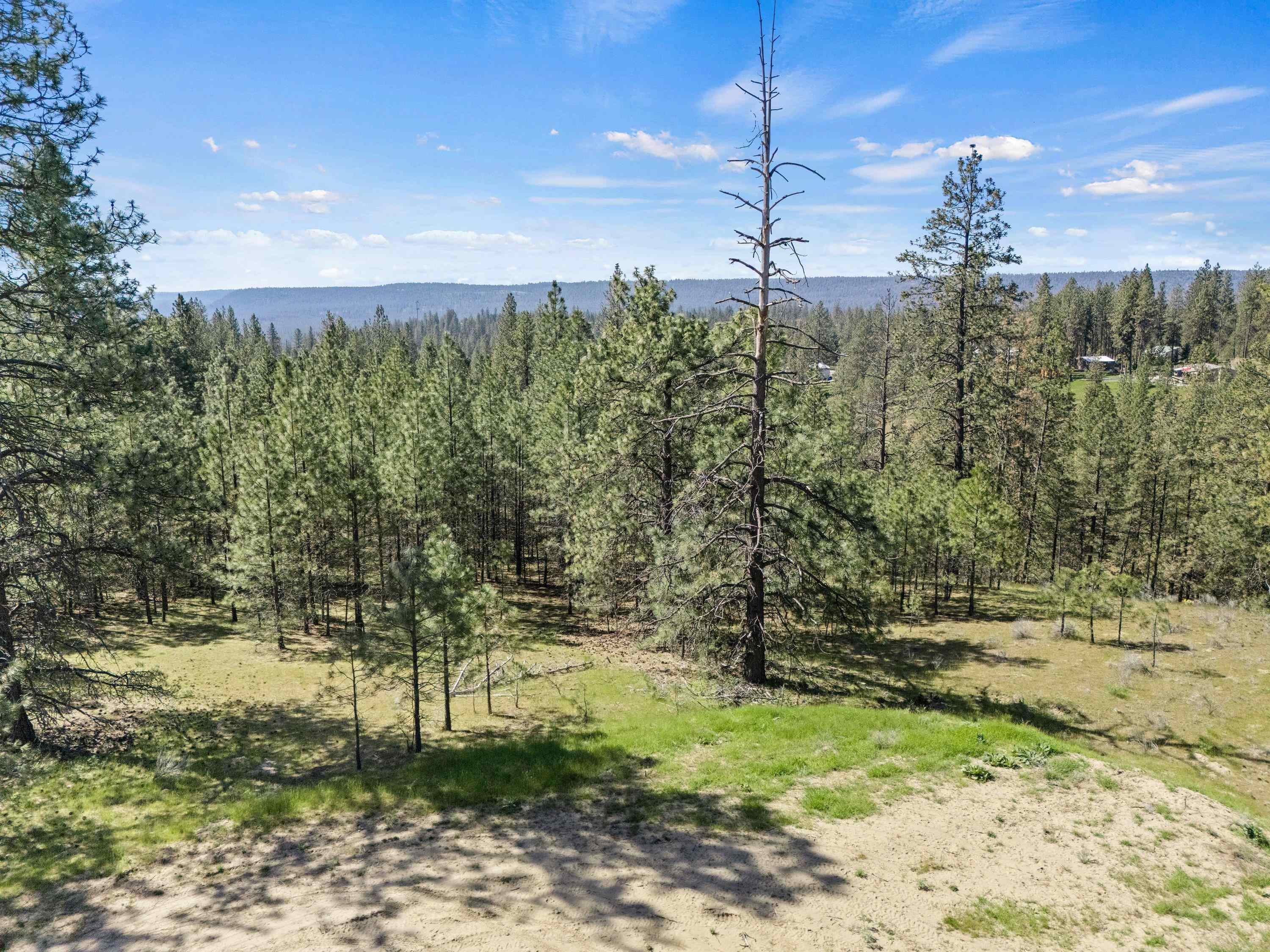 5882 Lot 4 Lower Weaver Way - Photo 16