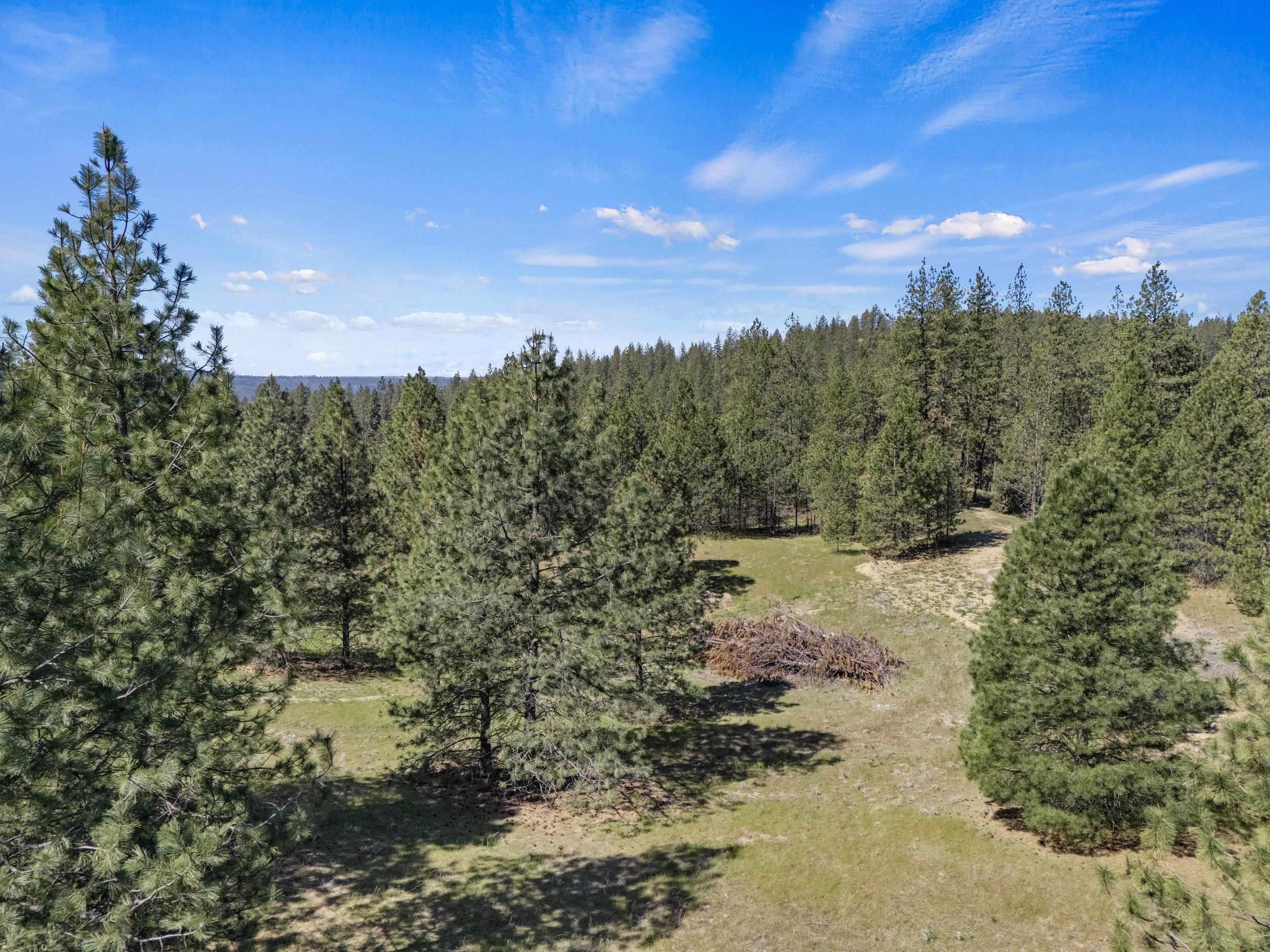 5882 Lot 4 Lower Weaver Way - Photo 17