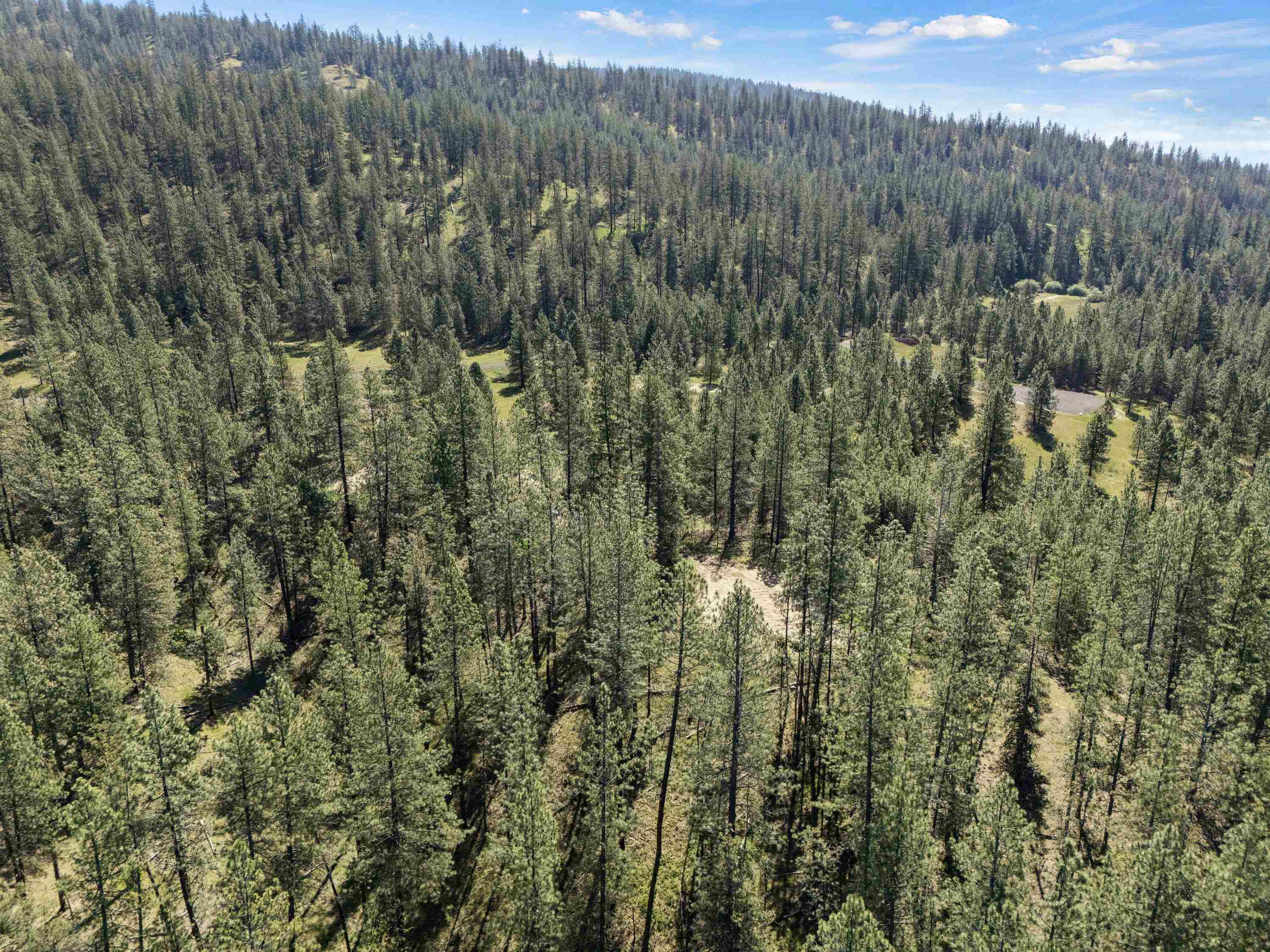 5882 Lot 4 Lower Weaver Way - Photo 18