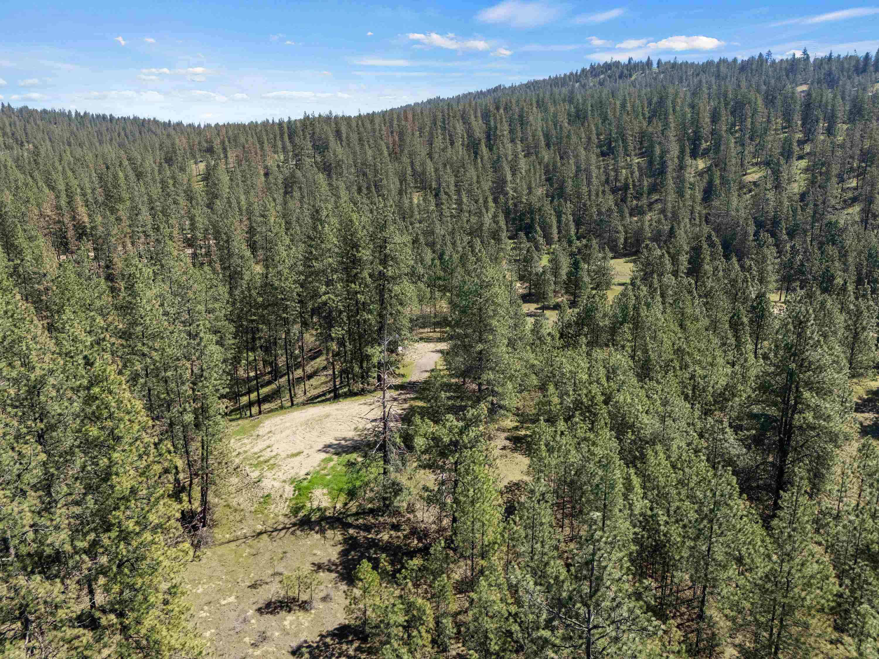 5882 Lot 4 Lower Weaver Way - Photo 19