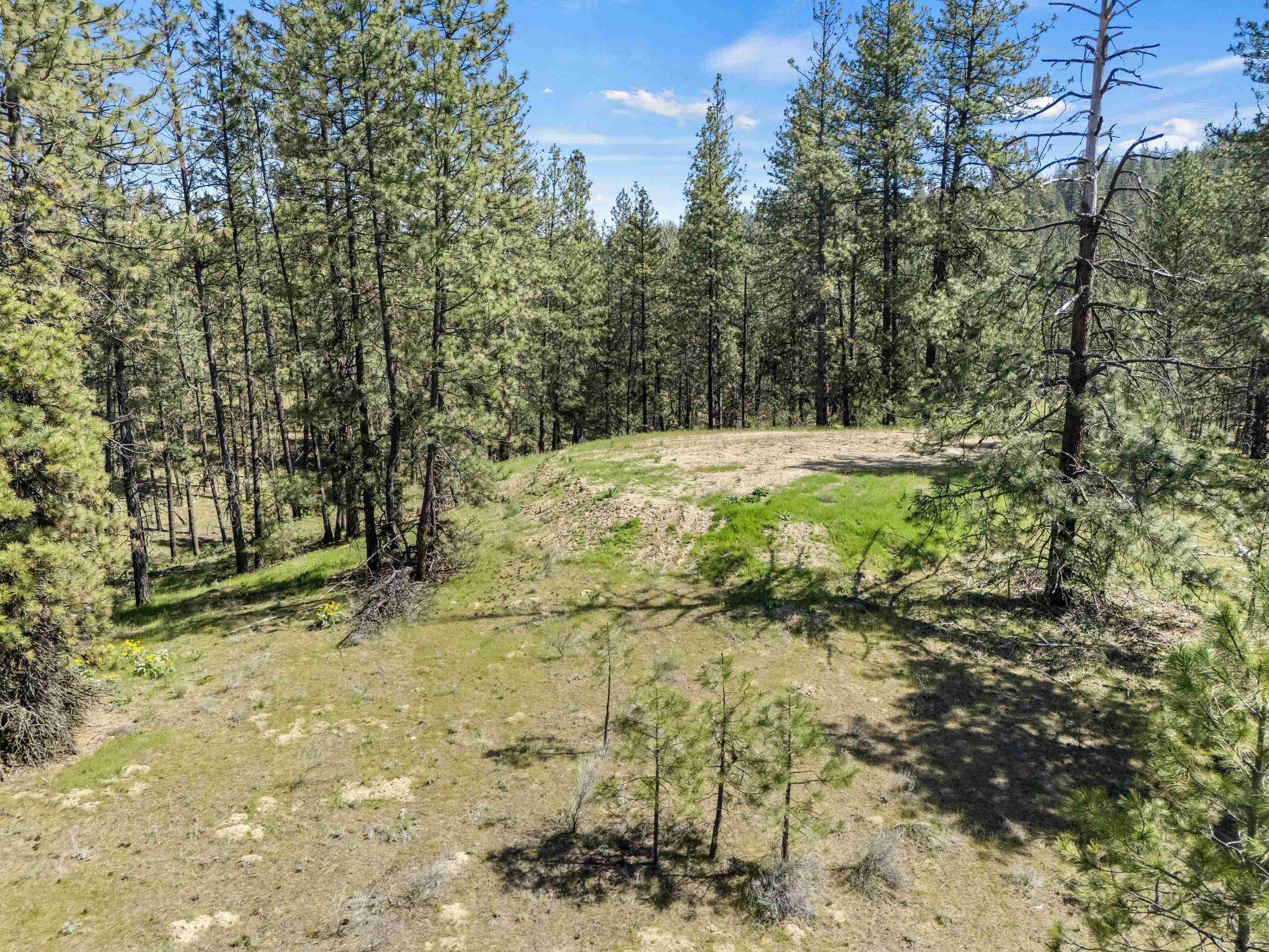 5882 Lot 4 Lower Weaver Way - Photo 20