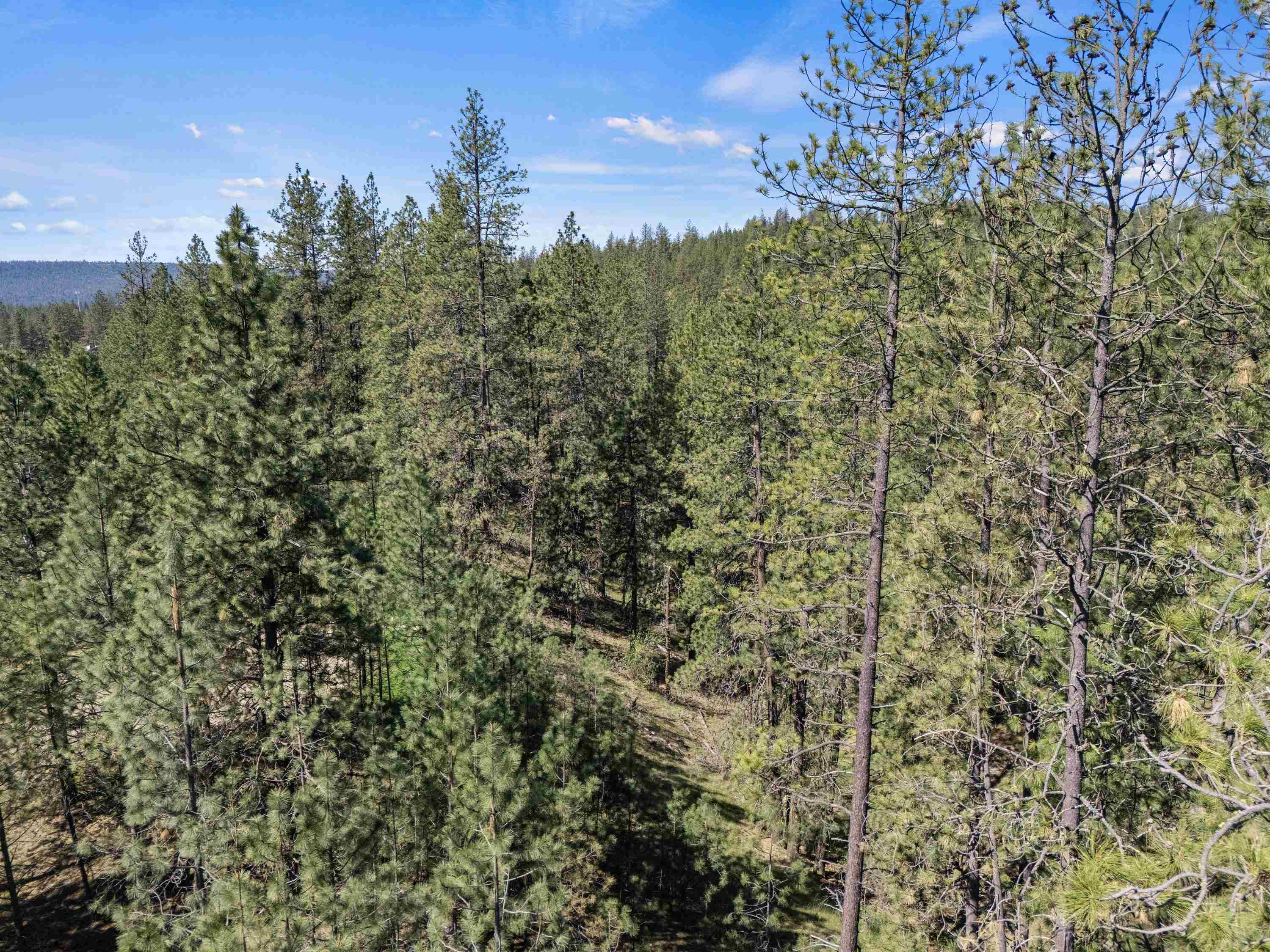 5882 Lot 4 Lower Weaver Way - Photo 22