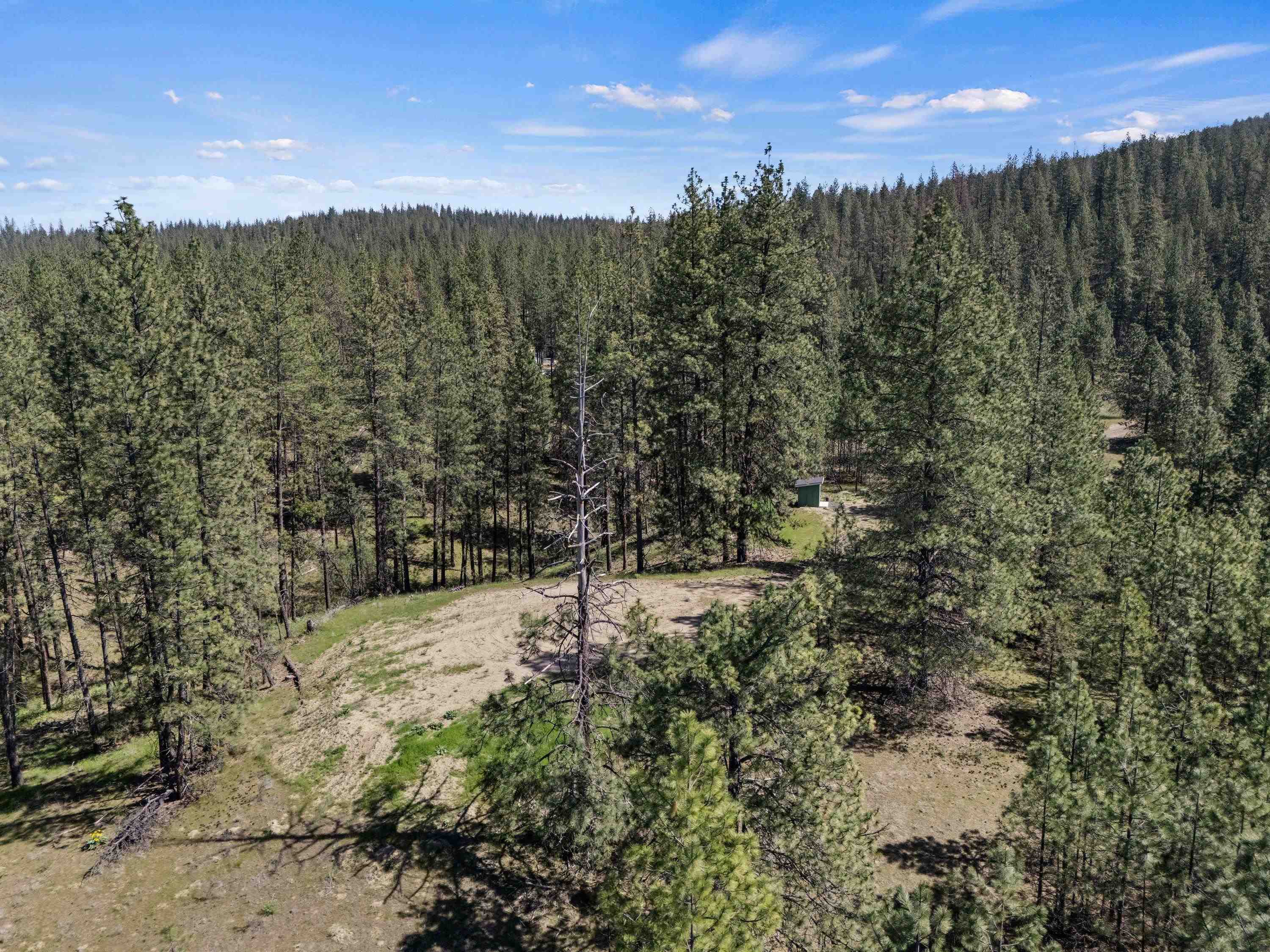 5882 Lot 4 Lower Weaver Way - Photo 8