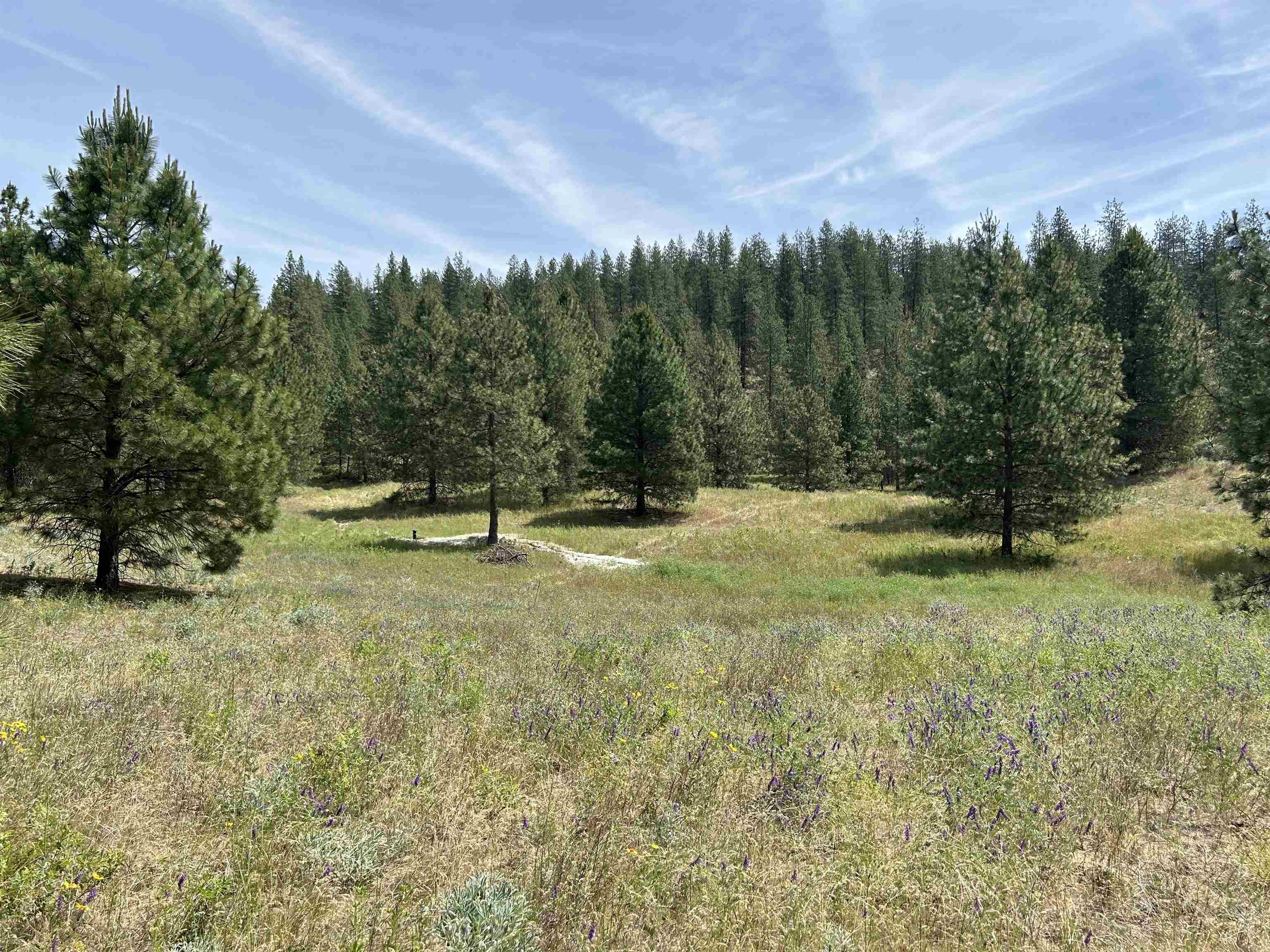 5880 Lot 3 Lower Weaver Way - Photo 10