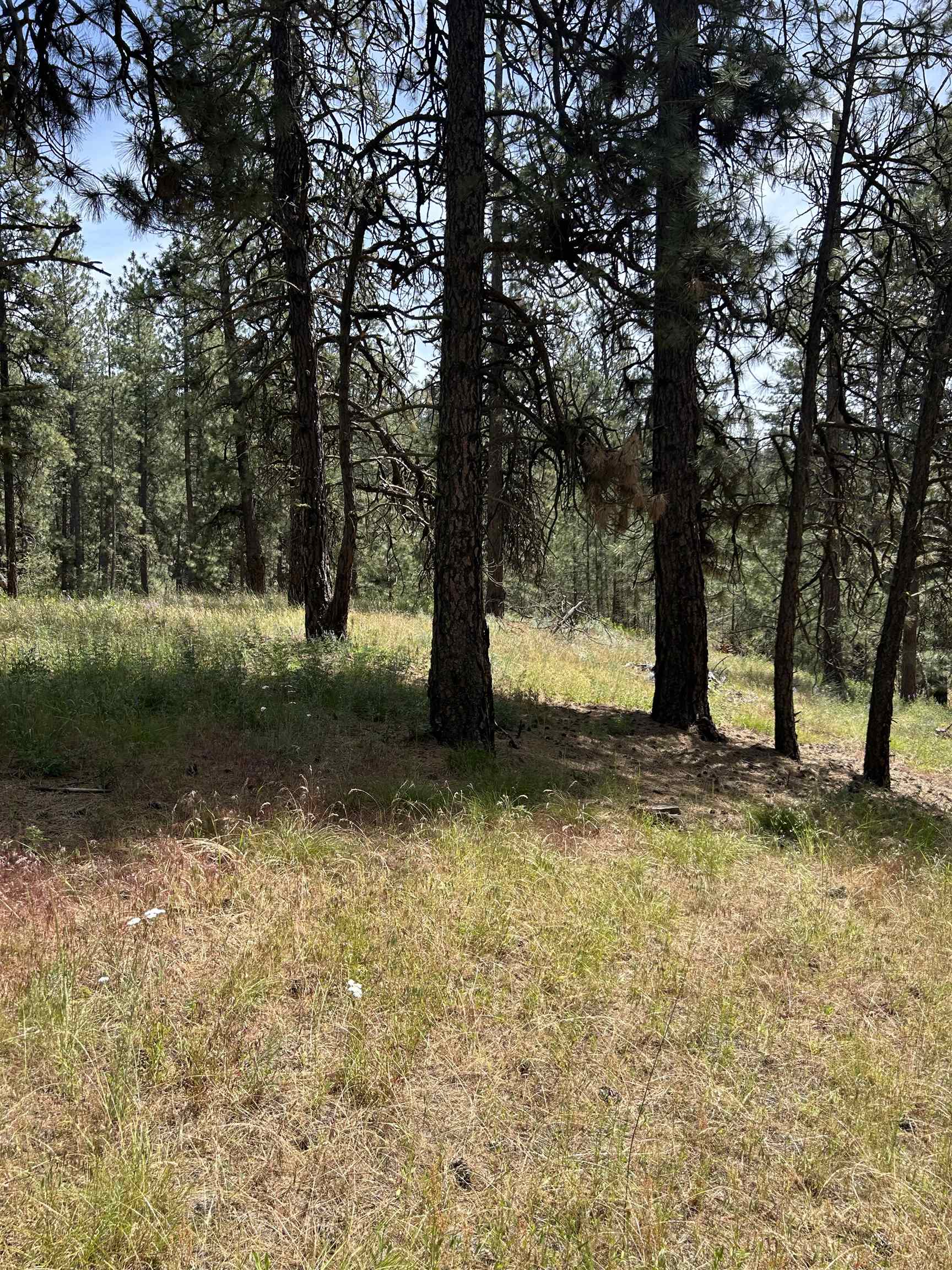58xx Lot 2 Lower Weaver Way - Photo 12