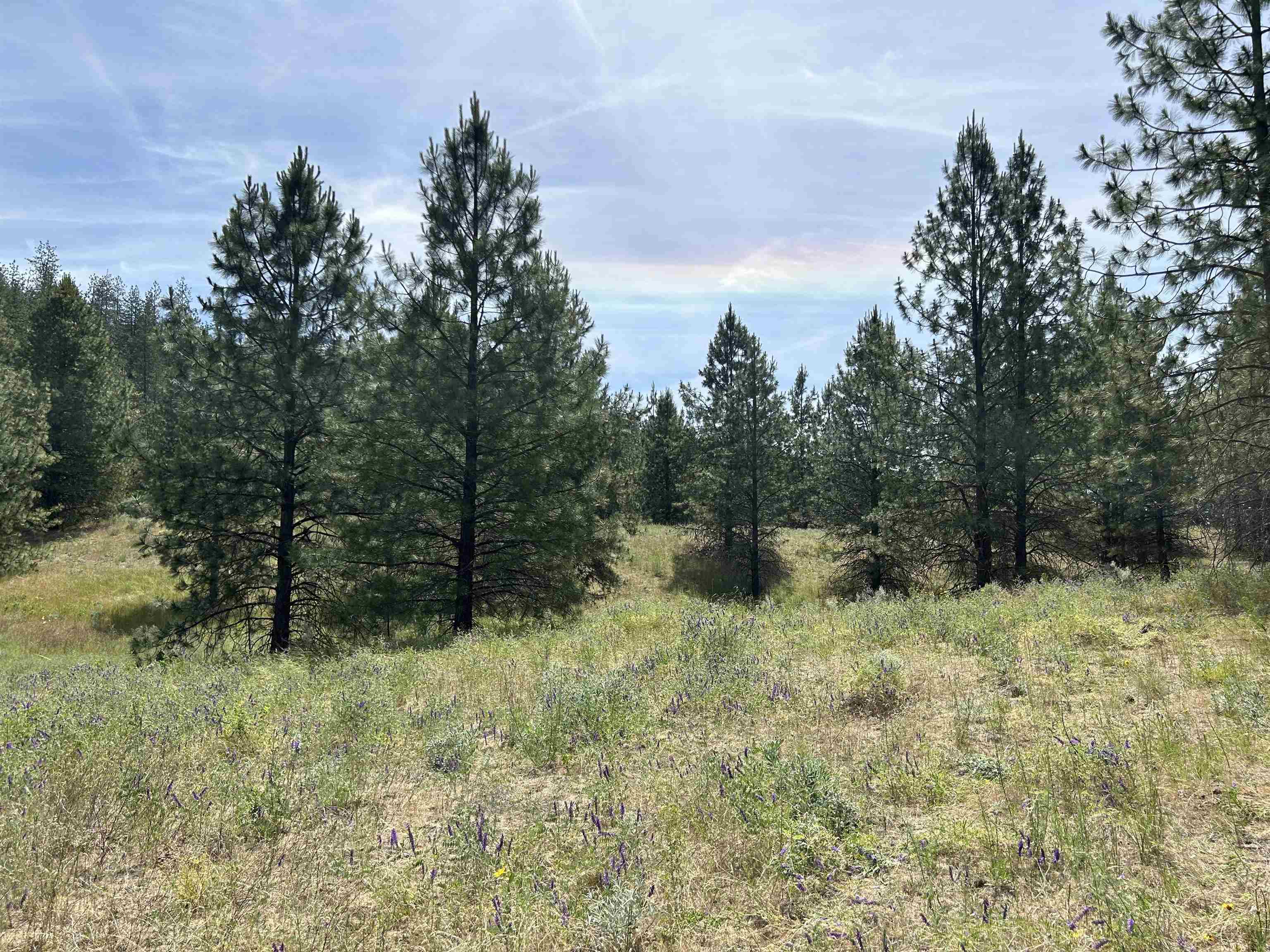 58xx Lot 2 Lower Weaver Way - Photo 13